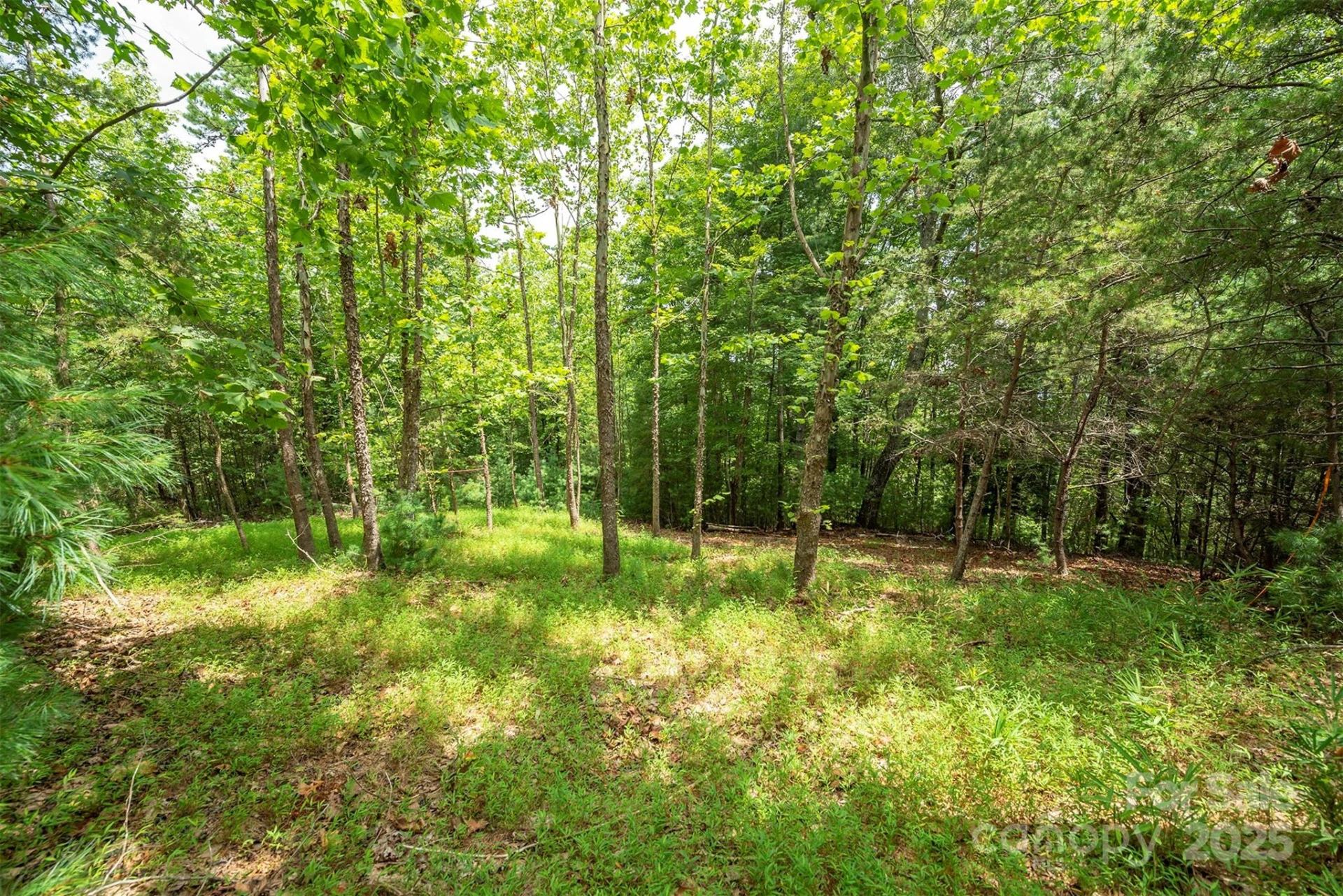 LOT 46 Black Forest Drive - Photo 3