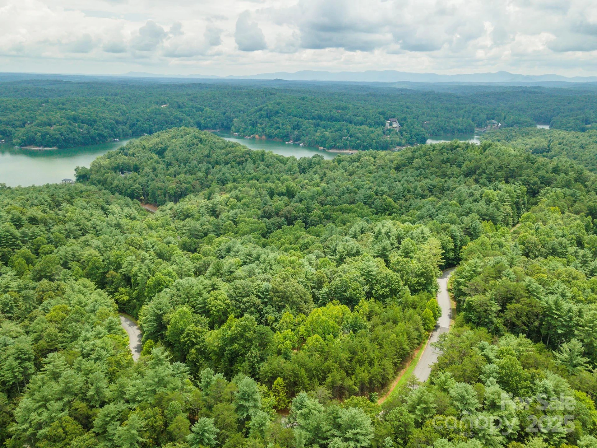 LOT 46 Black Forest Drive - Photo 6