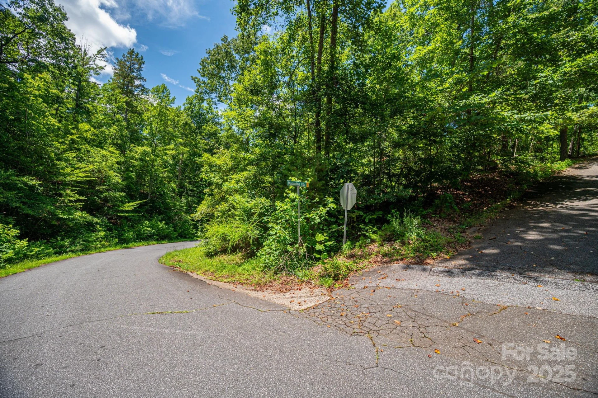Lot 177 Plantation Drive - Photo 5