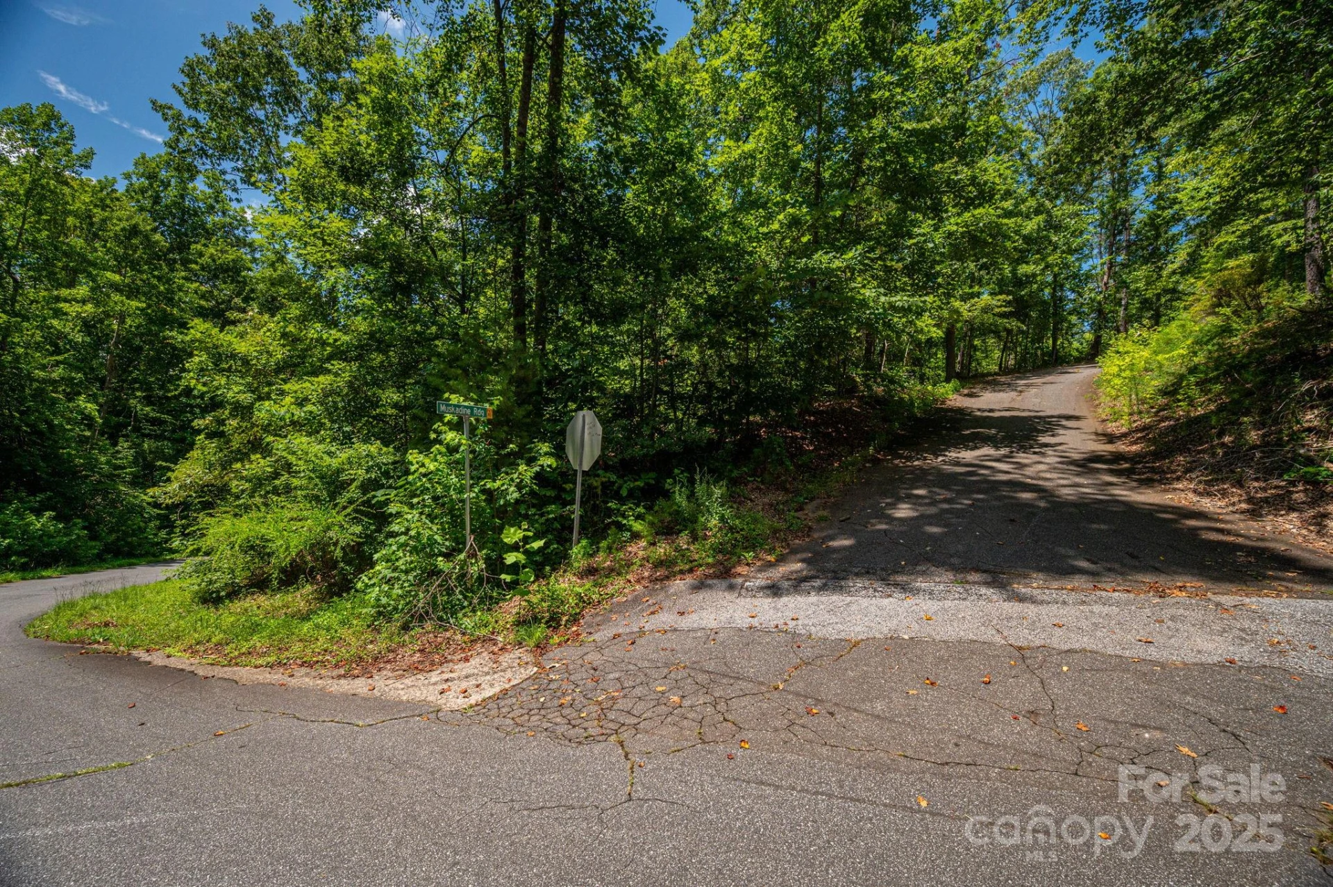 Lot 177 Plantation Drive - Photo 6