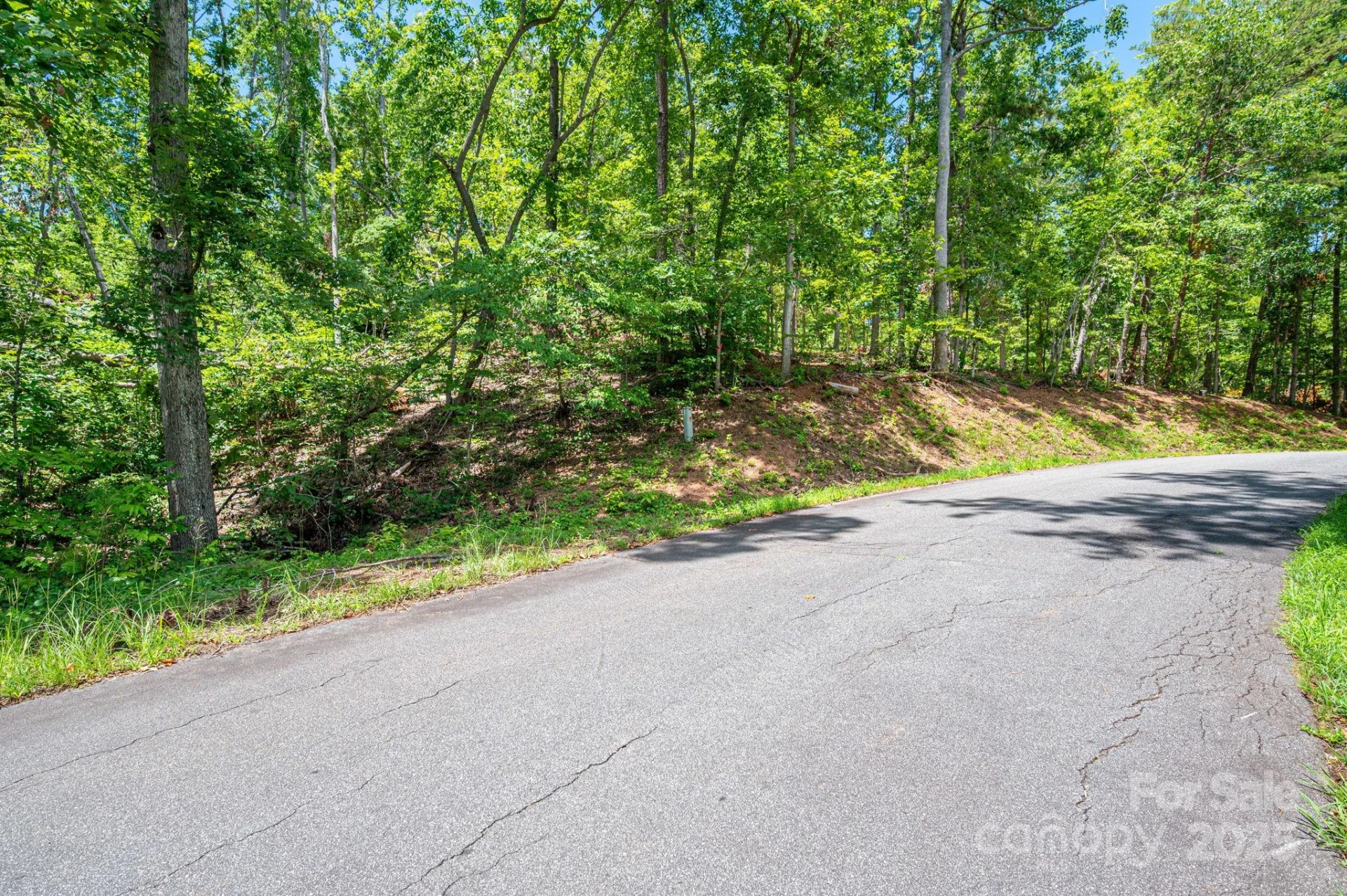 Lot 191 Plantation Drive - Photo 11