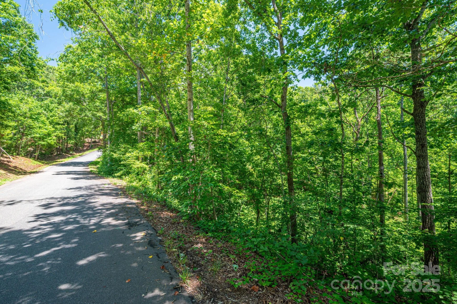 Lot 131 Plantation Drive - Photo 11
