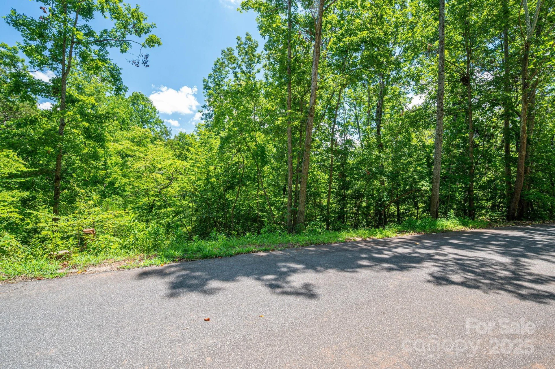 Lot 132 Plantation Drive - Photo 14