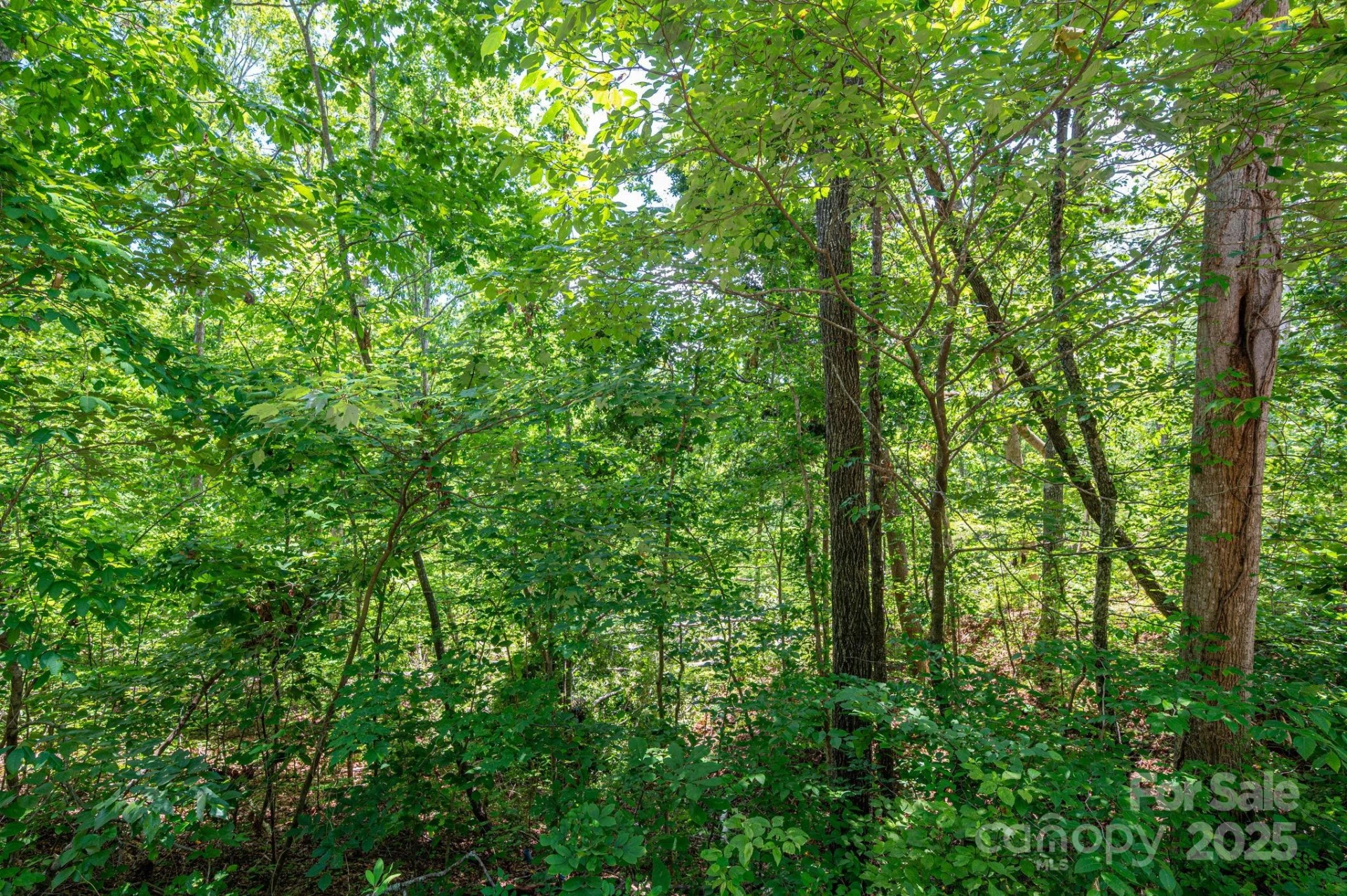 Lot 132 Plantation Drive - Photo 3