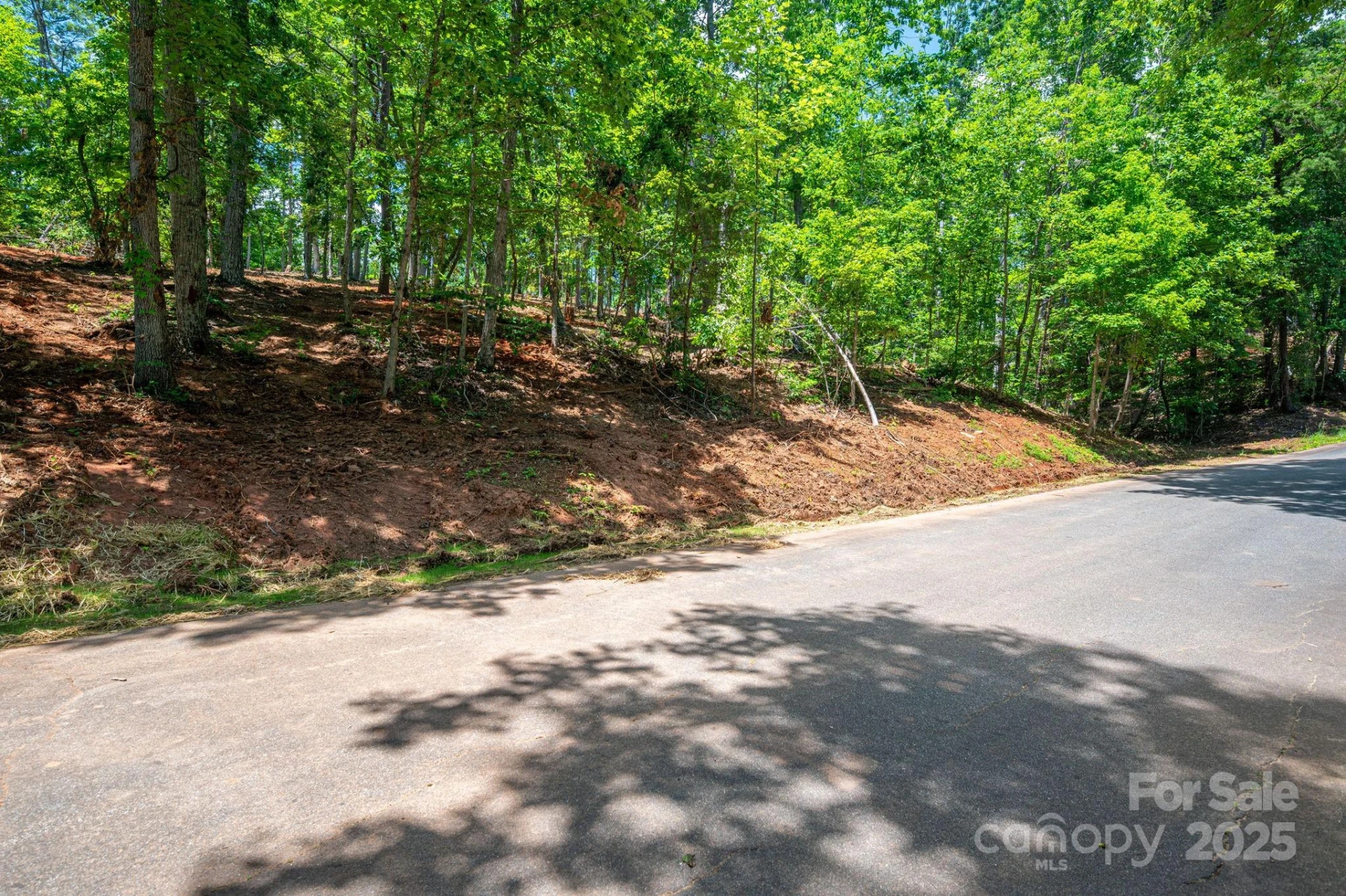 Lot 193 Plantation Drive - Photo 8