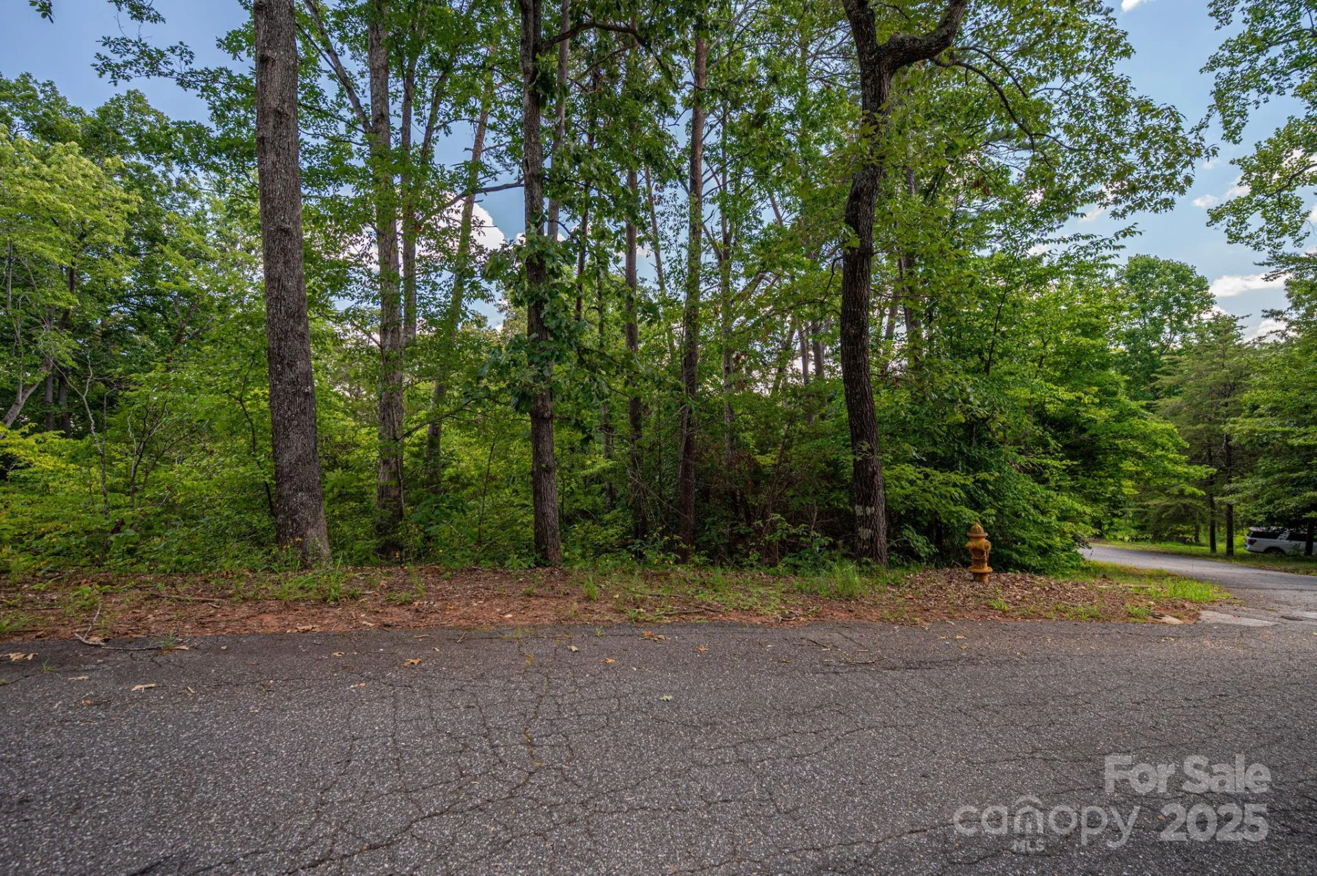 Lot 207 Plantation Drive