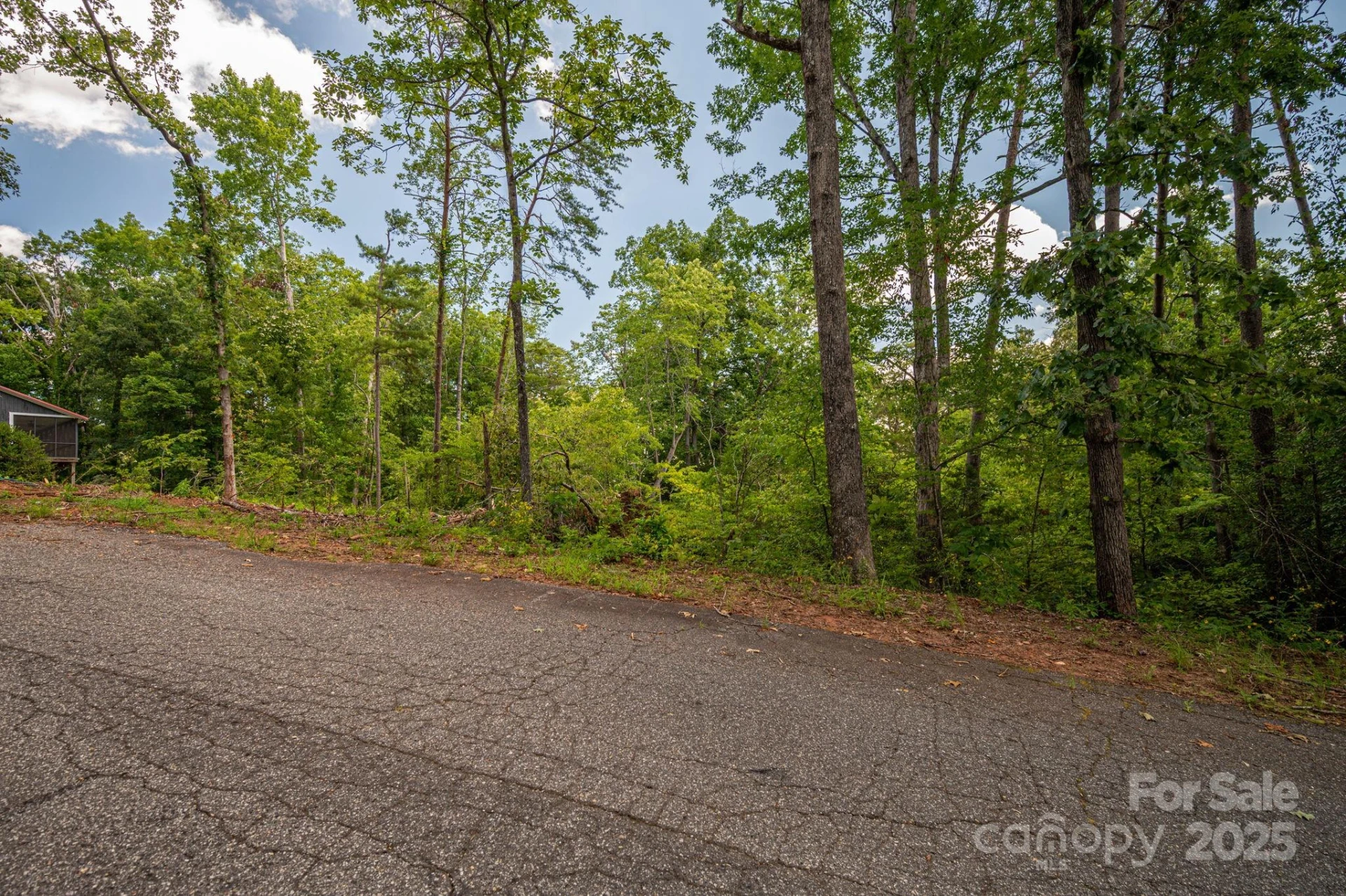 Lot 207 Plantation Drive - Photo 11