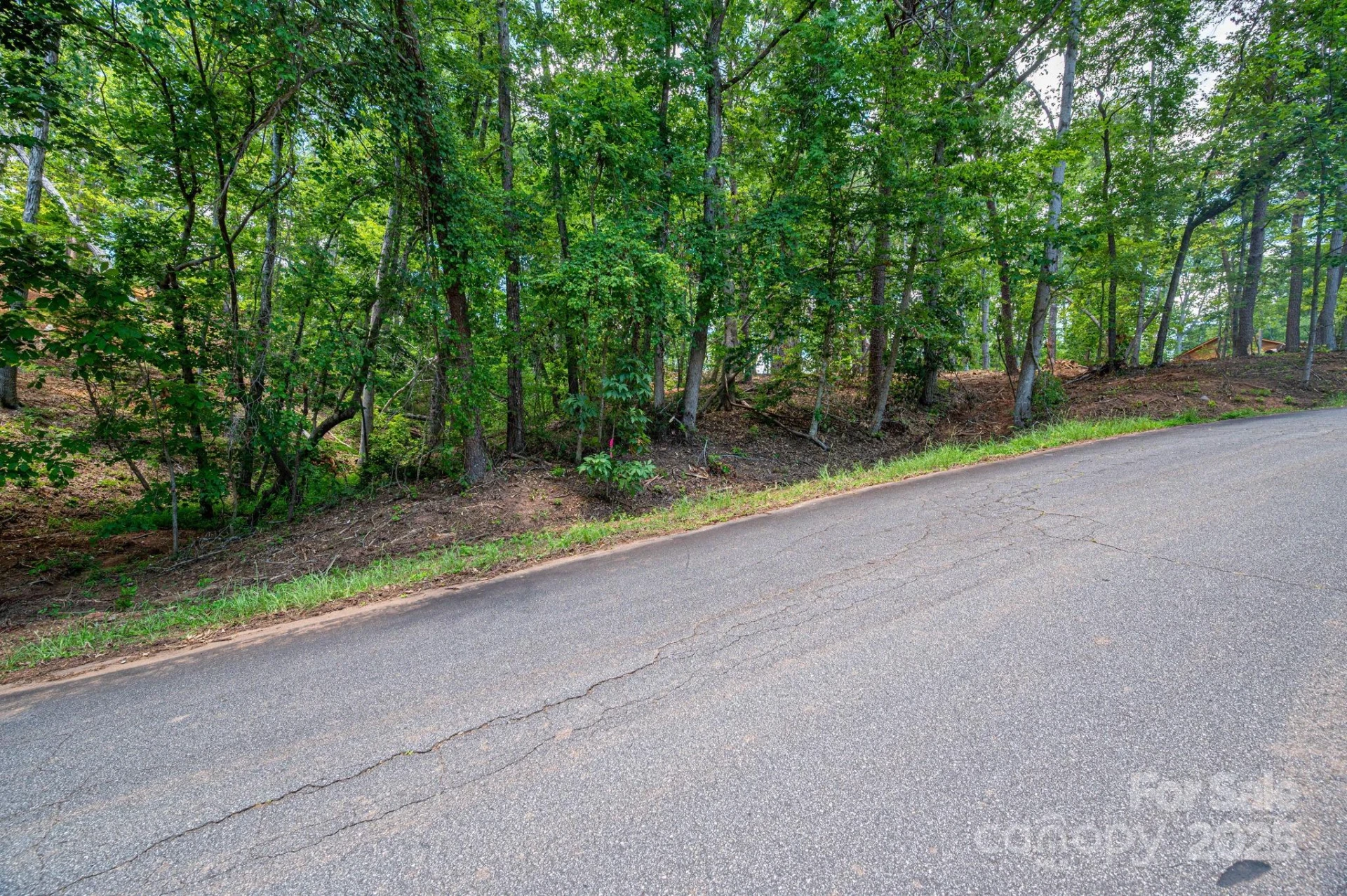 Lot 209 Plantation Drive - Photo 14