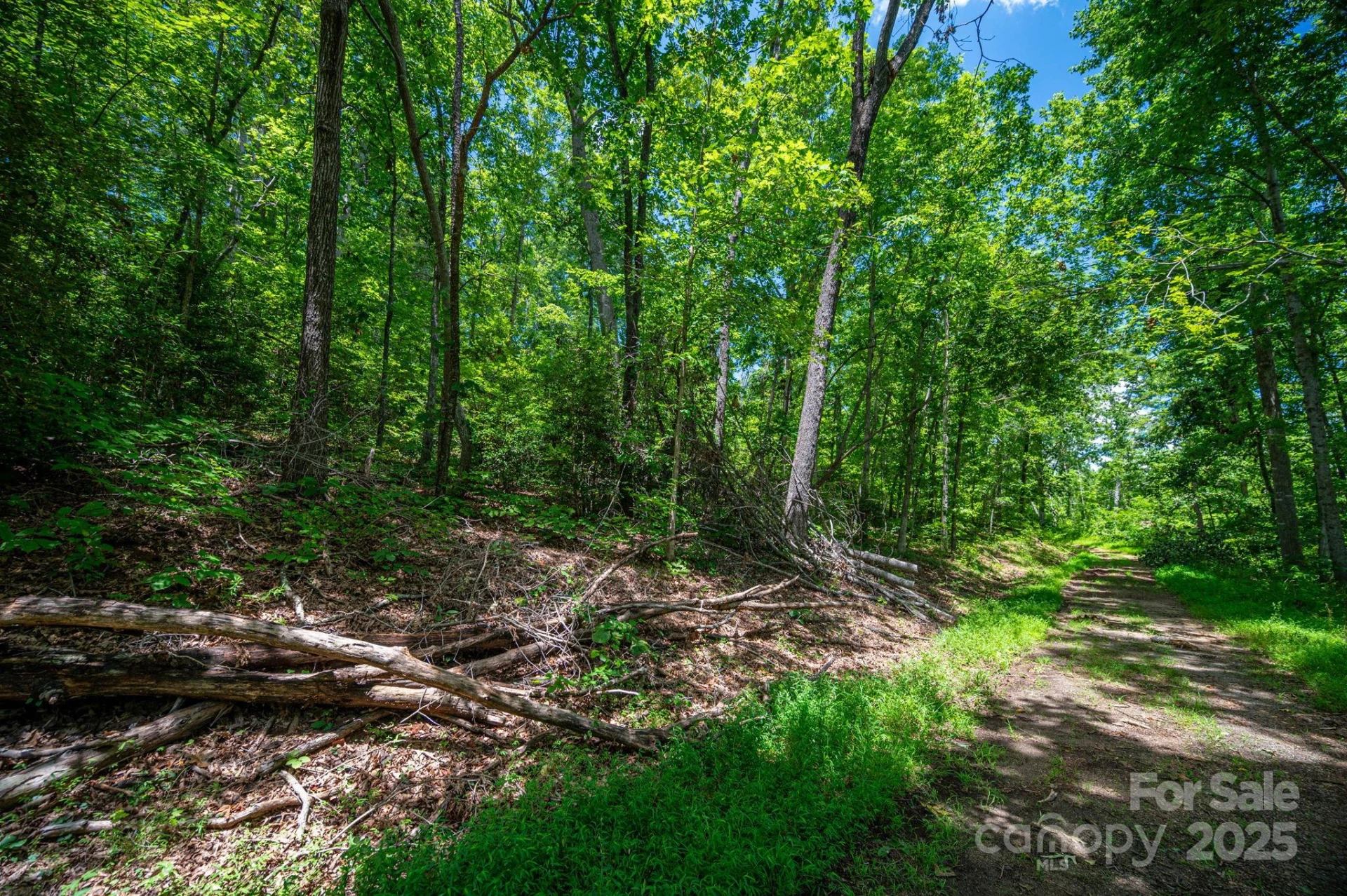 Lot 210 Plantation Drive - Photo 5