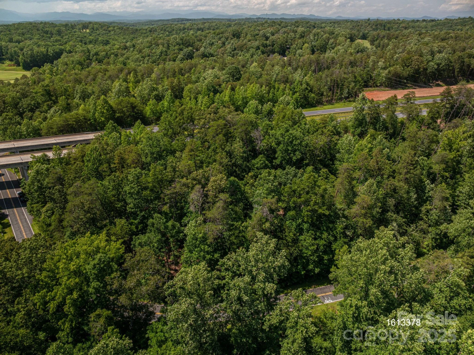 Lot 3 Cleghorn Mill Road - Photo 12