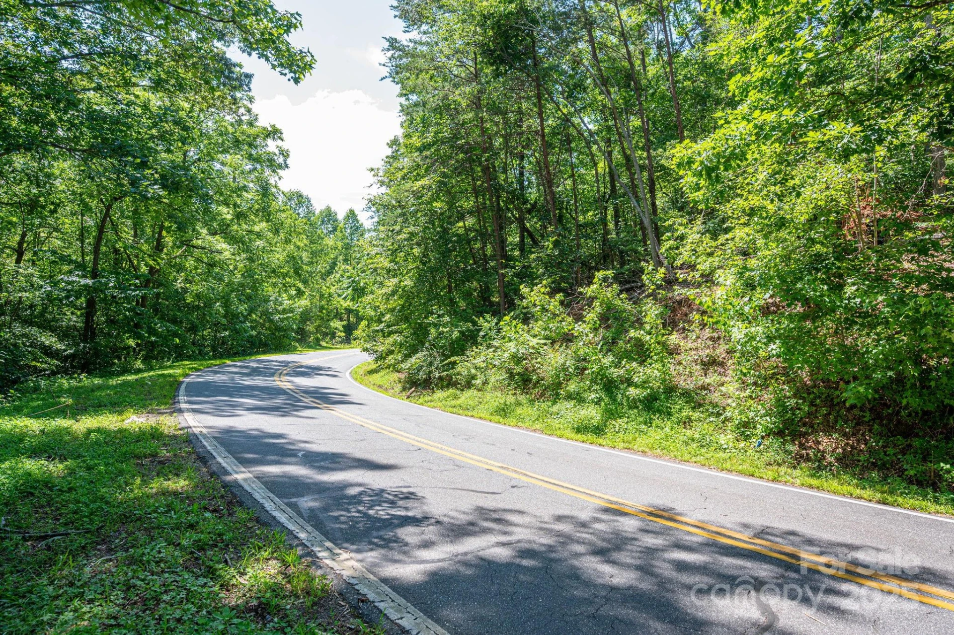 Lot 3 Cleghorn Mill Road - Photo 3