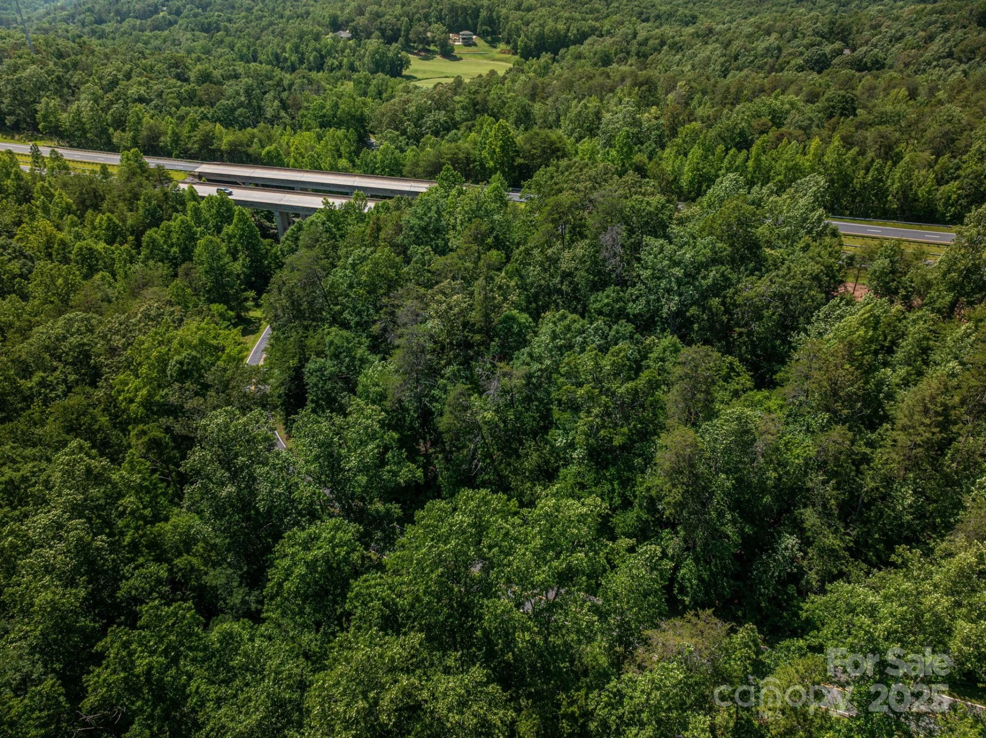 Lot 3 Cleghorn Mill Road - Photo 4