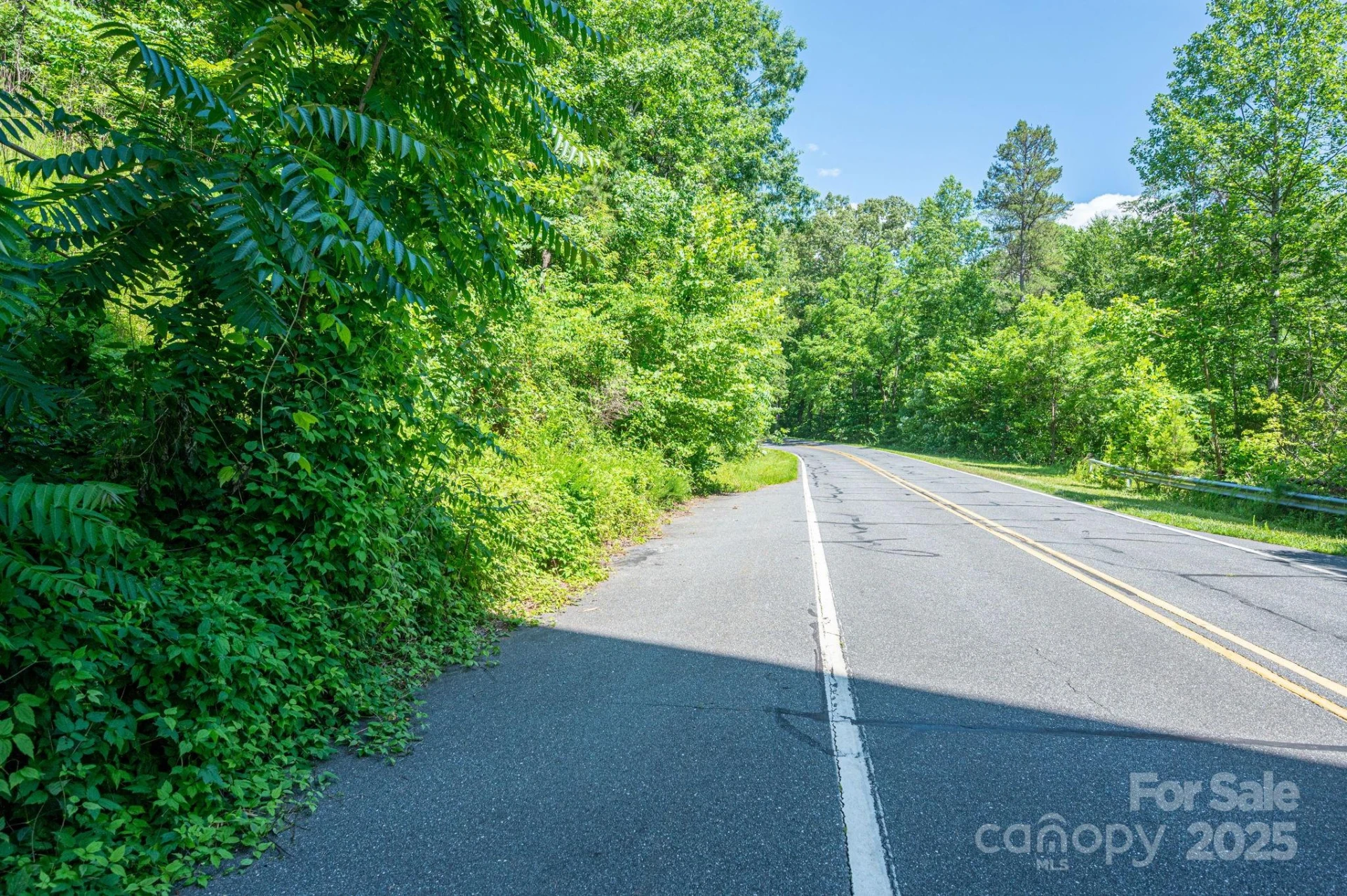 Lot 3 Cleghorn Mill Road - Photo 8