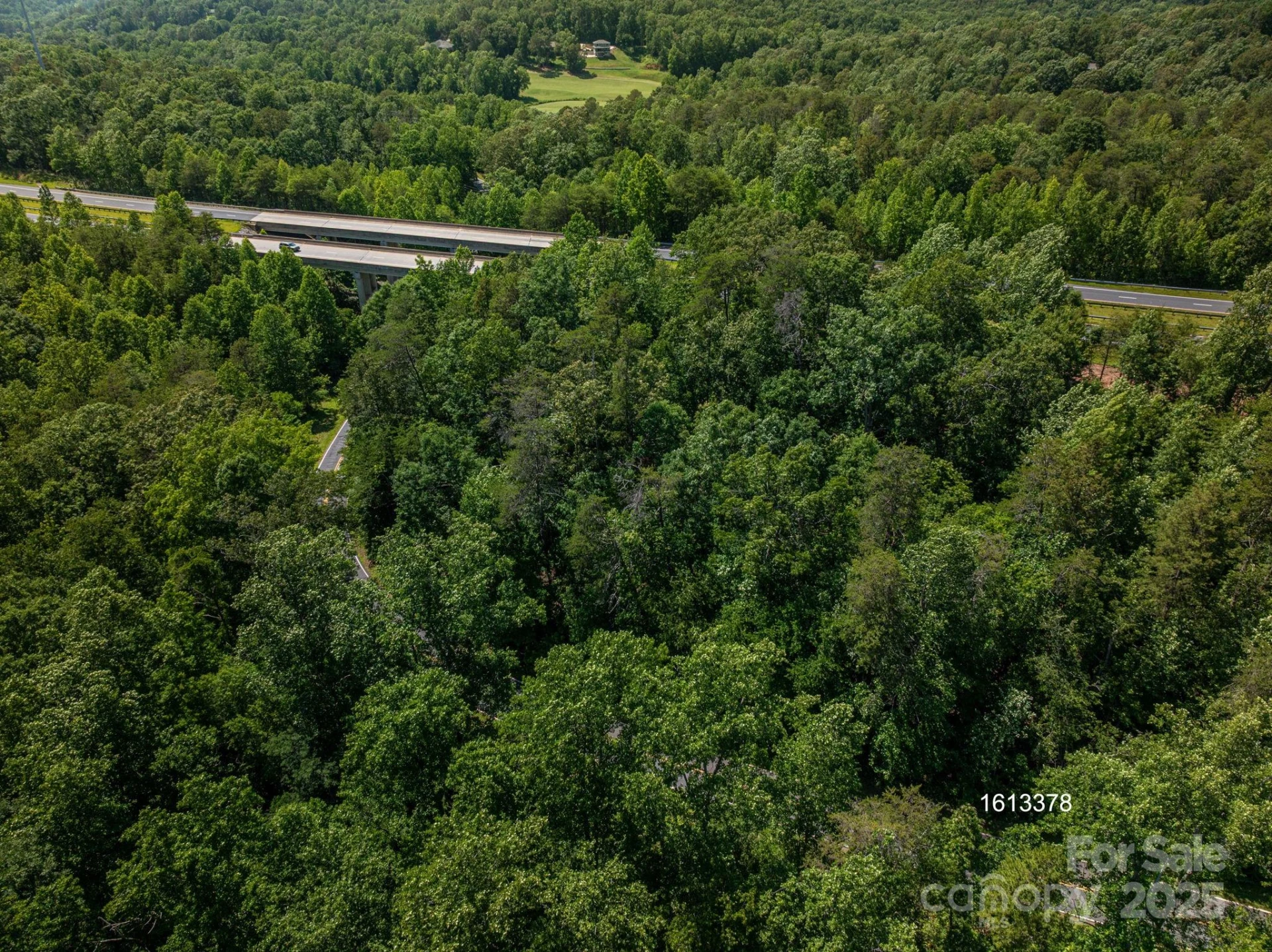 Lot 3 Cleghorn Mill Road - Photo 9
