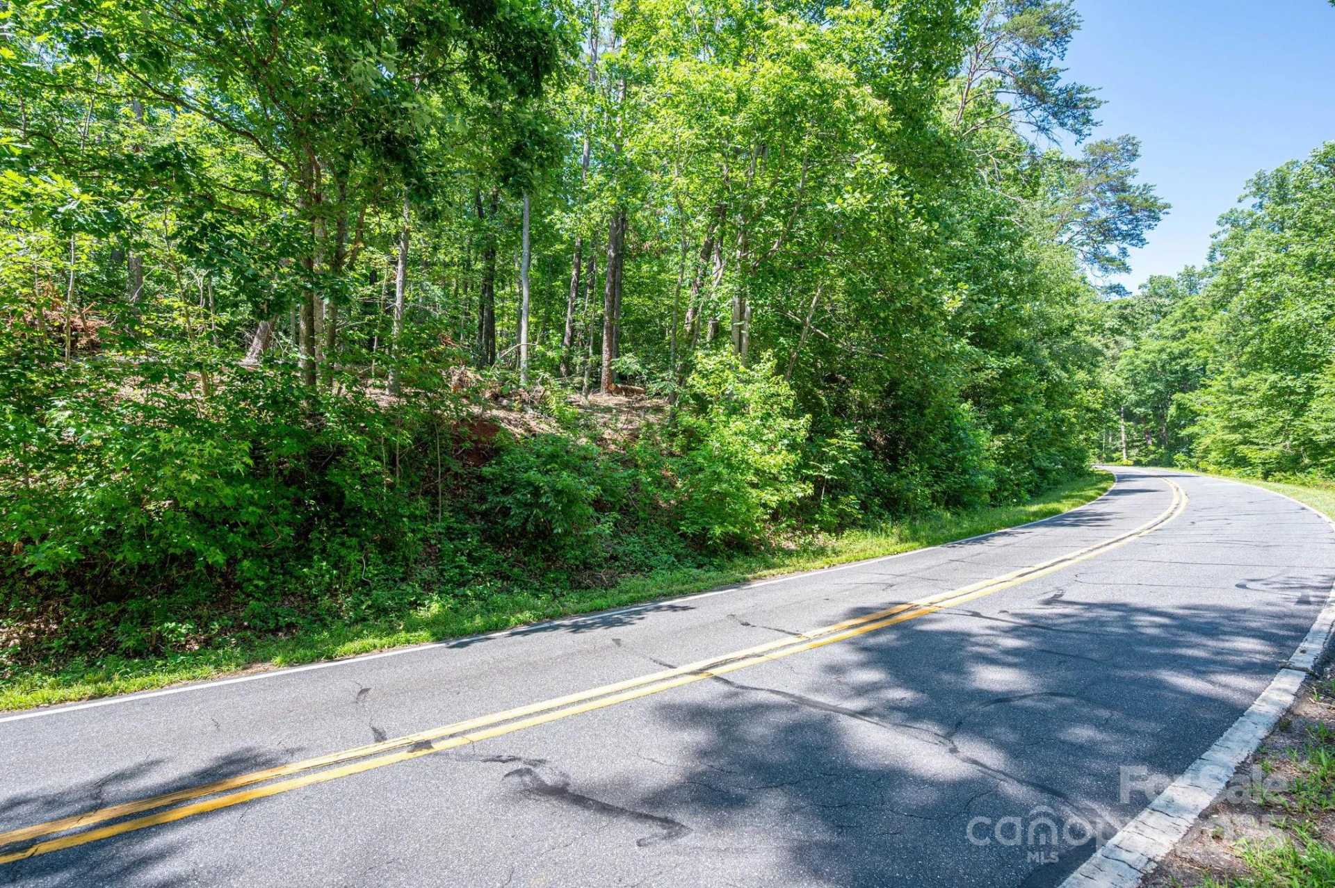 Lot 2 Cleghorn Mill Road - Photo 8