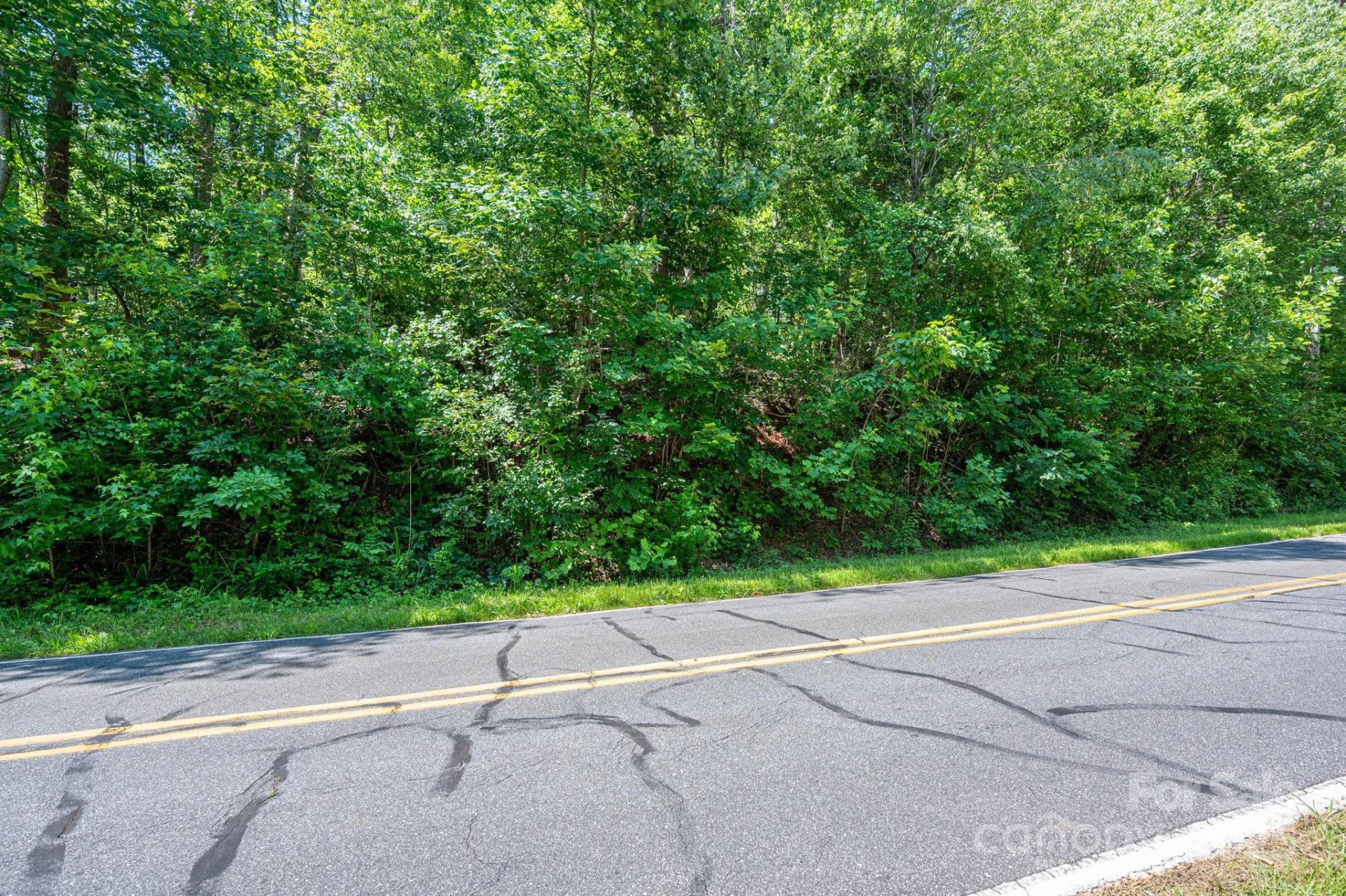 Lot 2 Cleghorn Mill Road - Photo 10