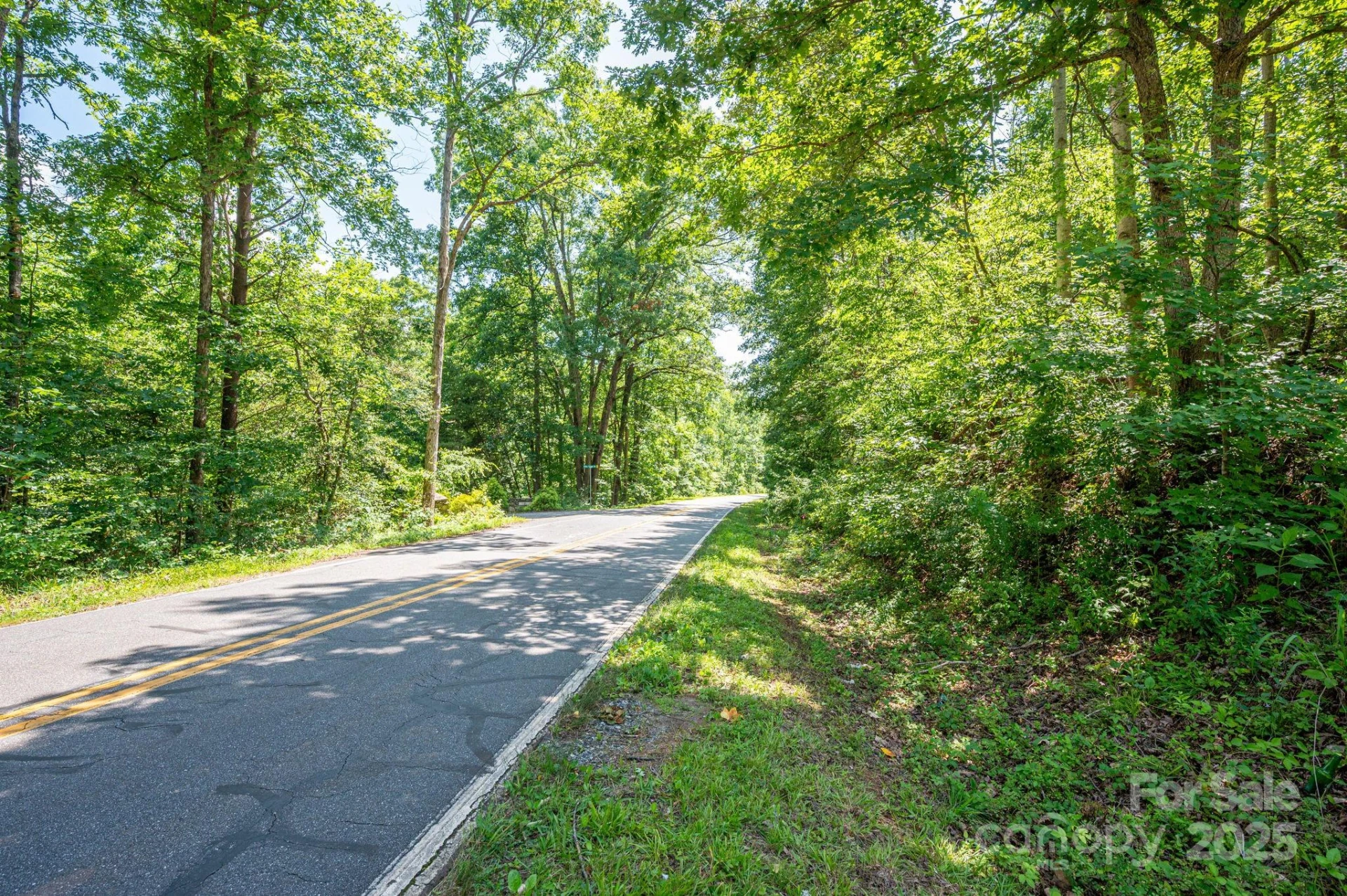 Lot 1 Cleghorn Mill Road - Photo 11