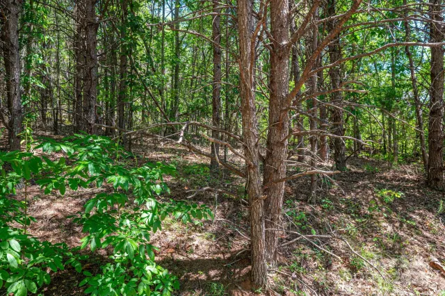 Lot 12 Meadow Crossing Drive