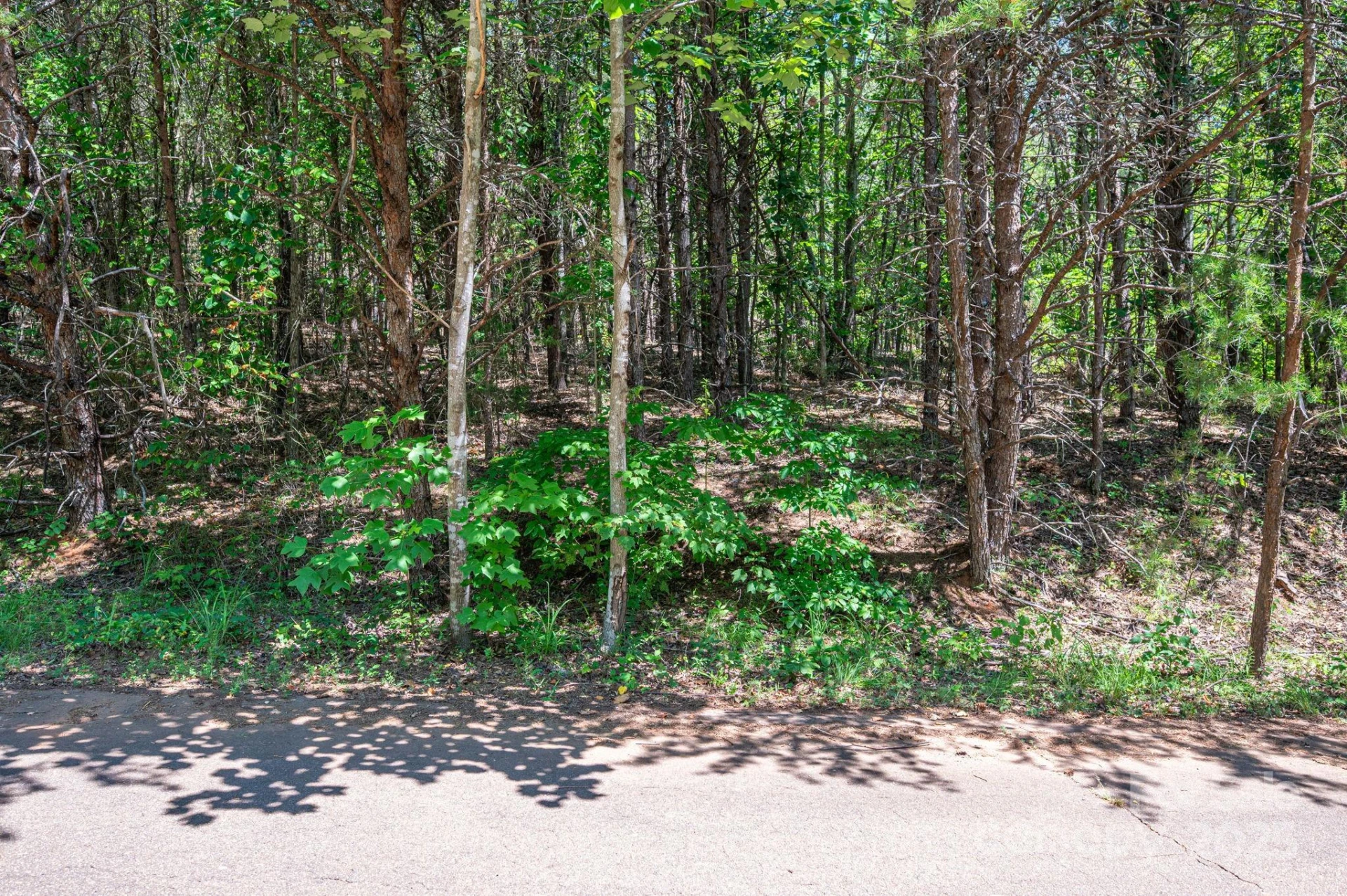 Lot 12 Meadow Crossing Drive - Photo 12