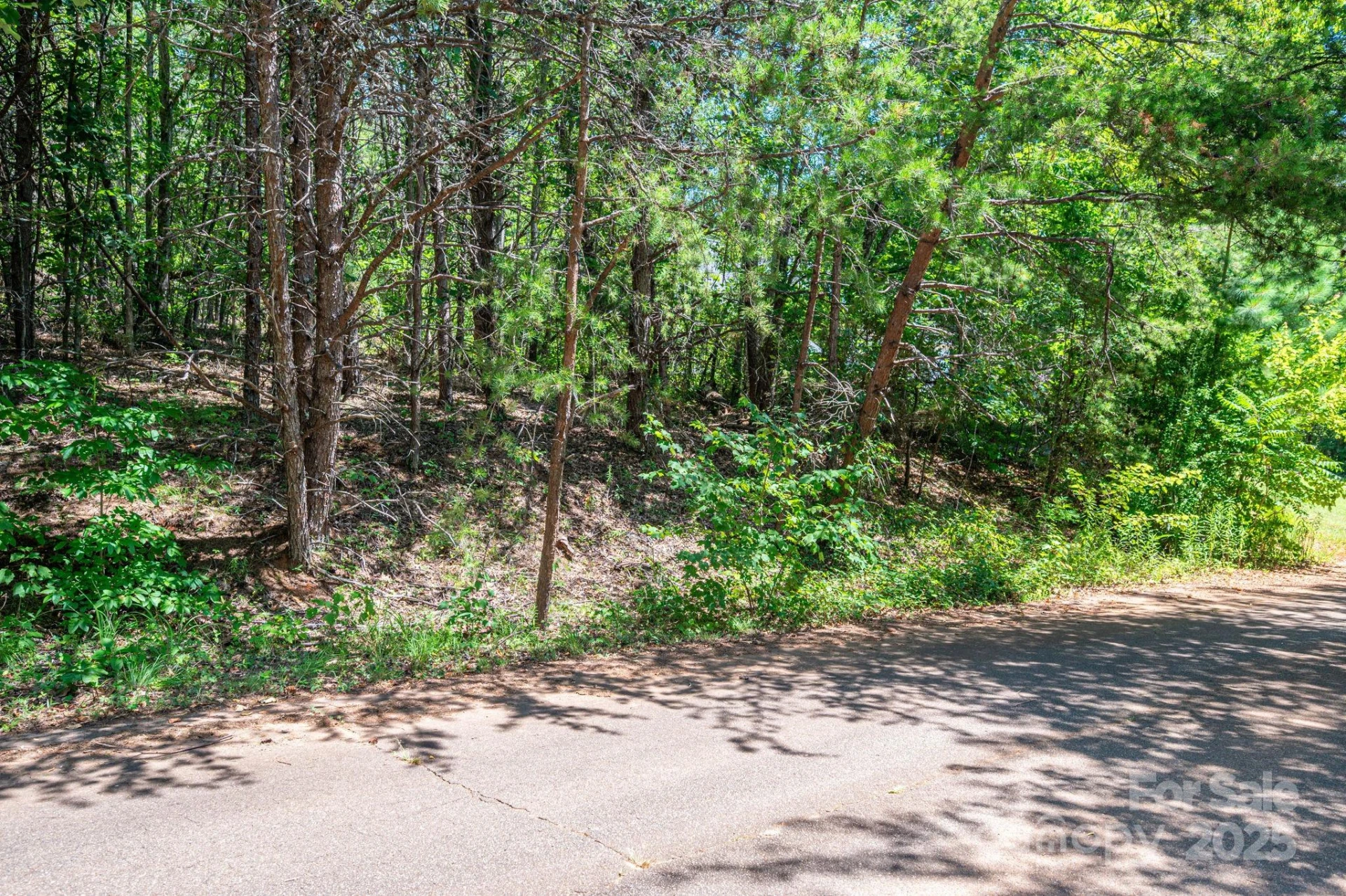 Lot 12 Meadow Crossing Drive - Photo 13