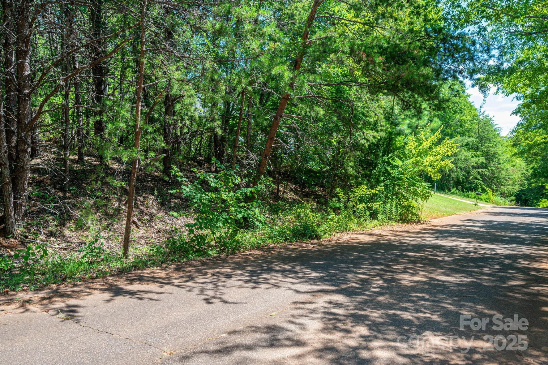 Lot 12 Meadow Crossing Drive - Photo 14