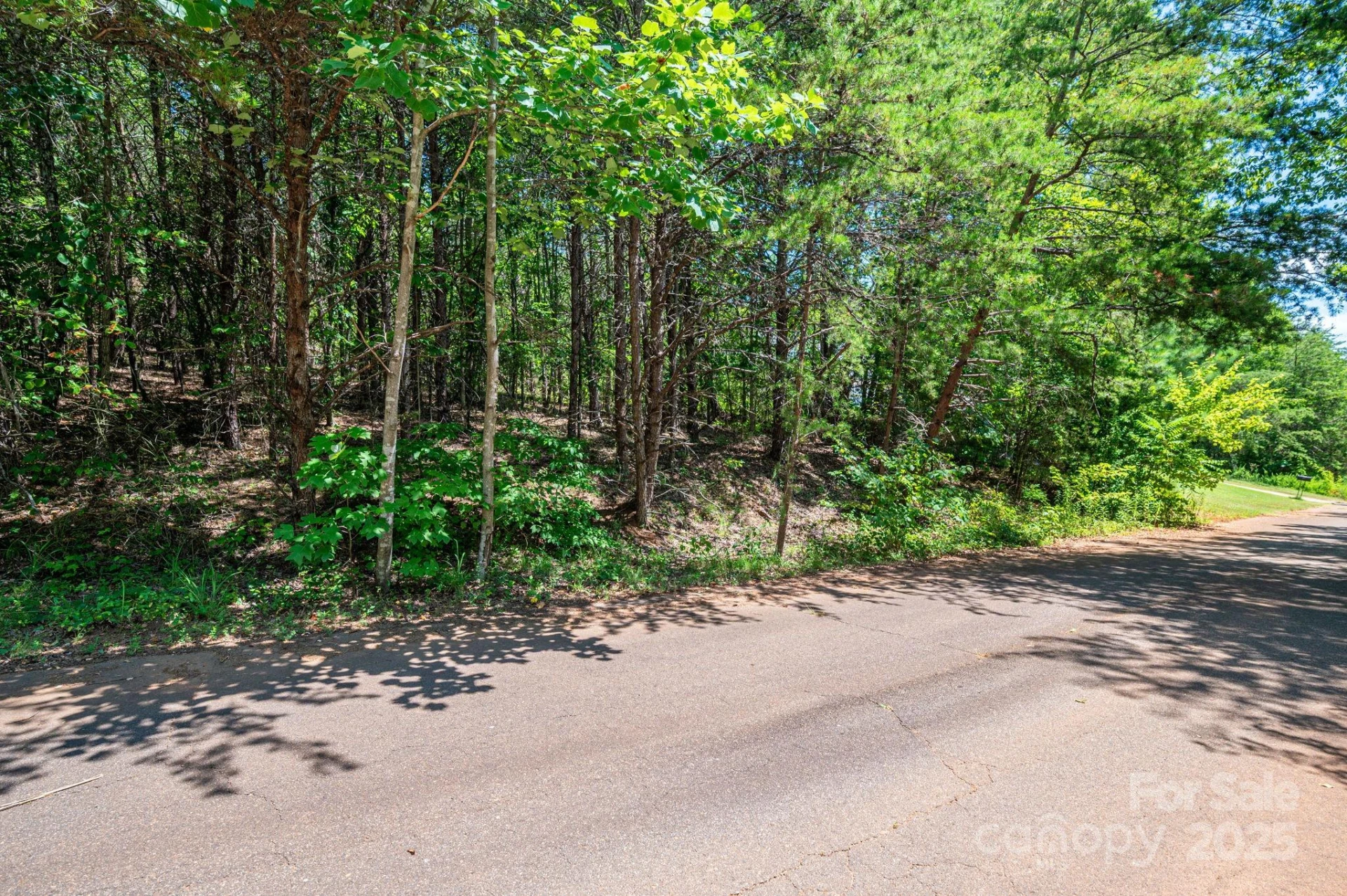 Lot 12 Meadow Crossing Drive - Photo 16