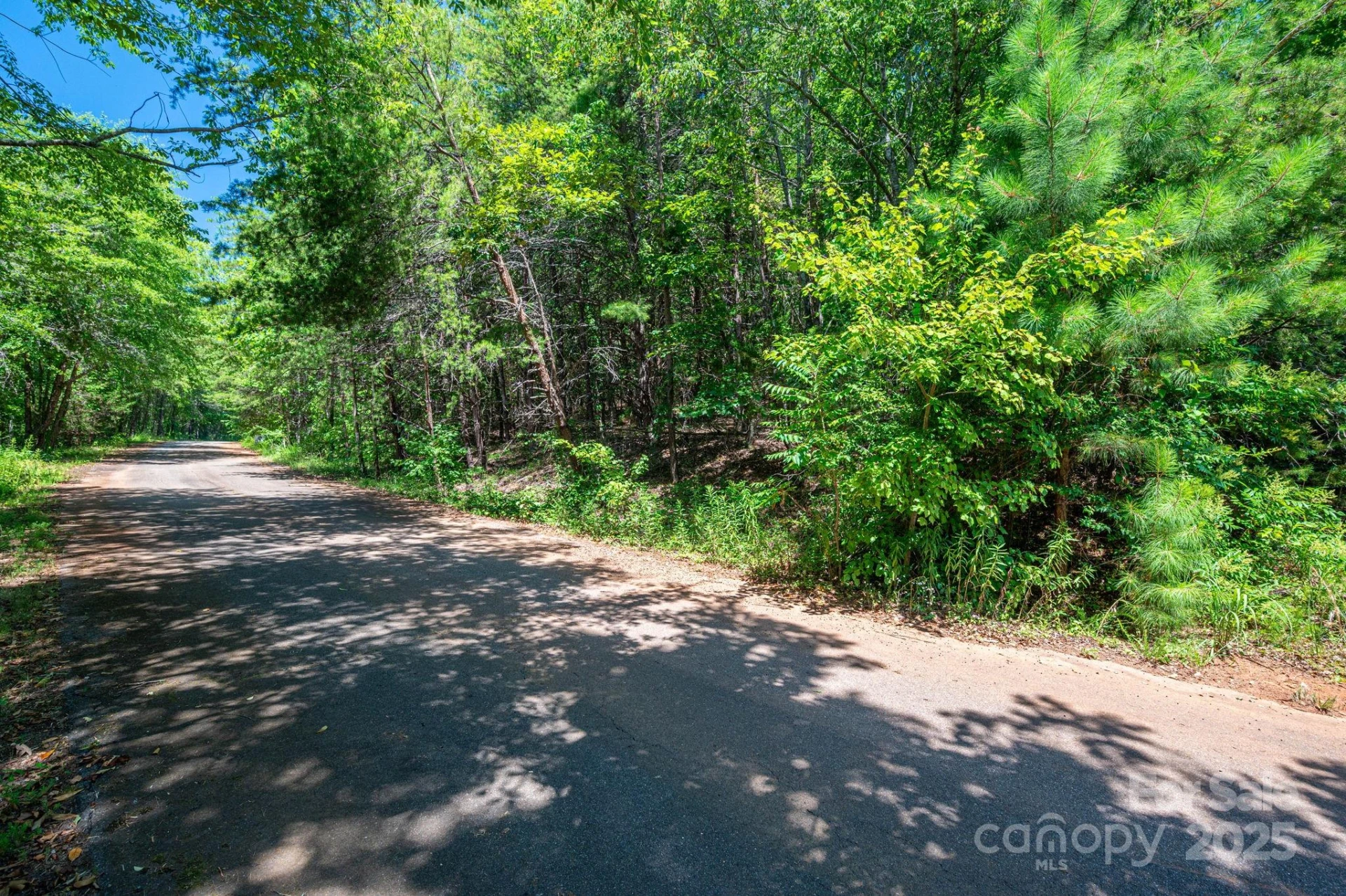 Lot 12 Meadow Crossing Drive - Photo 17