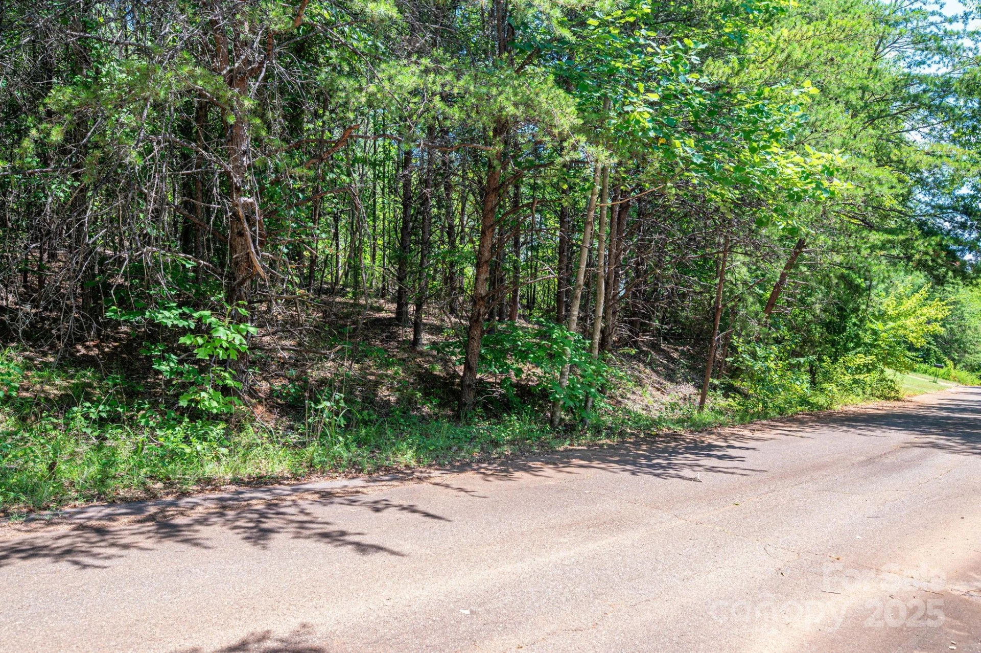 Lot 12 Meadow Crossing Drive - Photo 10