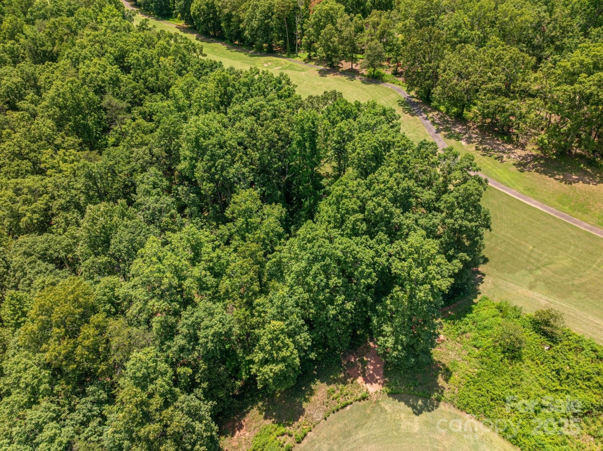 Lot 219 Plantation Drive - Photo 4