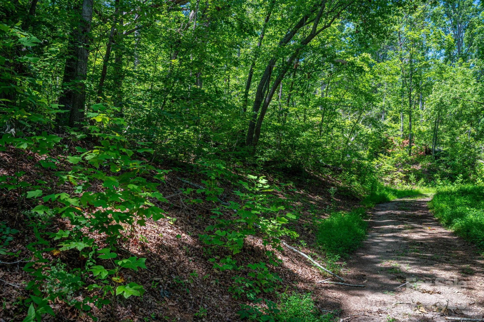Lot 221 Plantation Drive - Photo 3