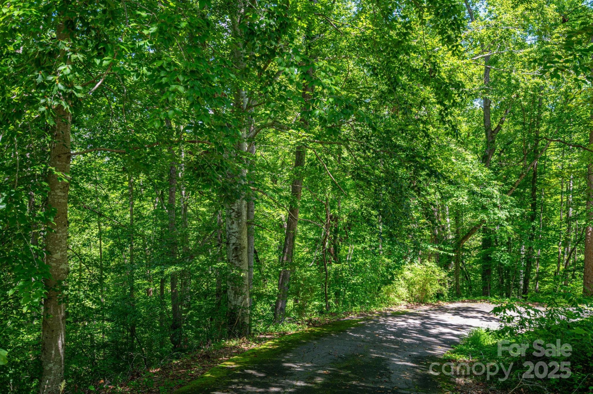 Lot 167 Plantation Drive - Photo 21