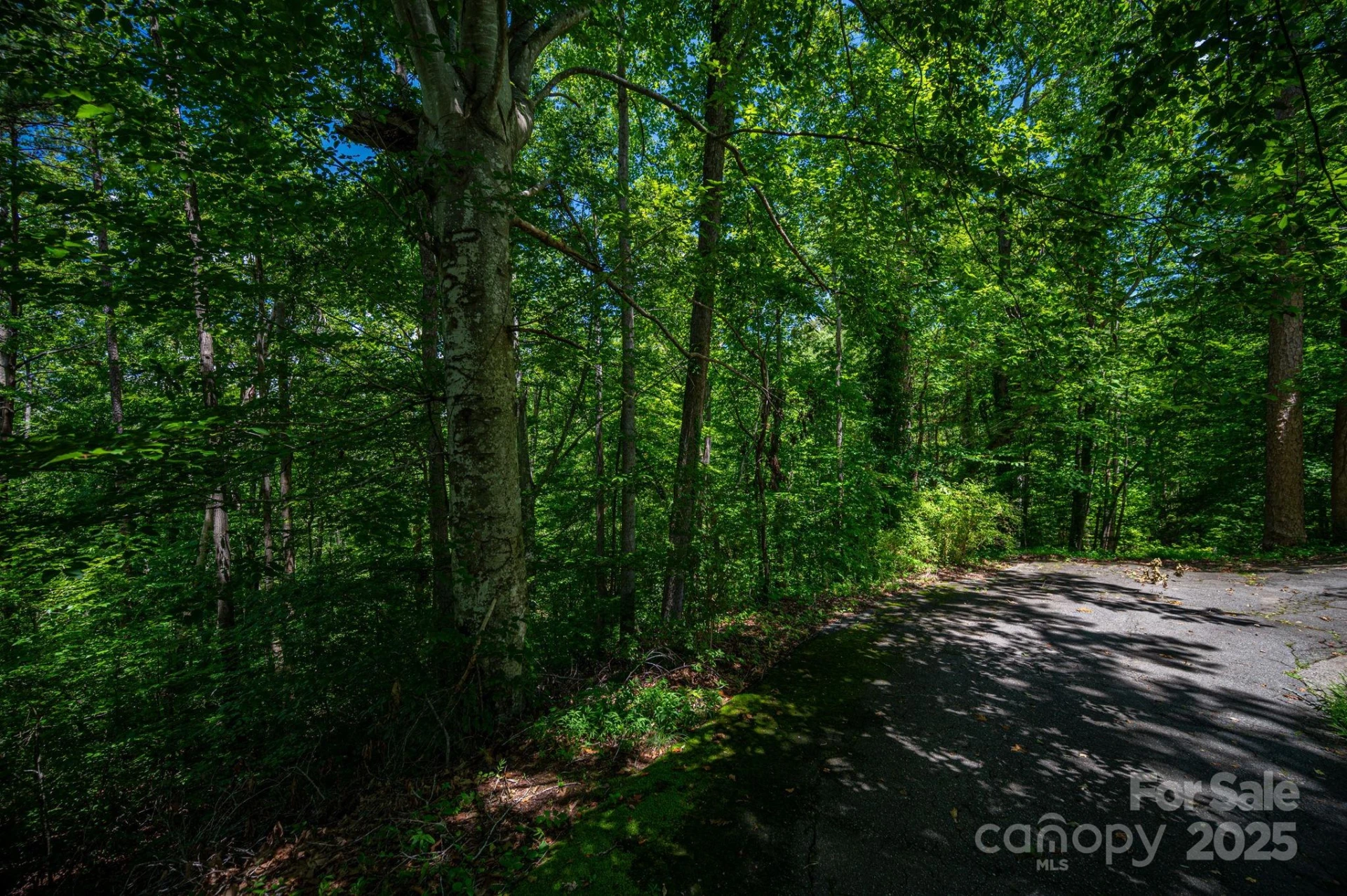 Lot 167 Plantation Drive - Photo 22