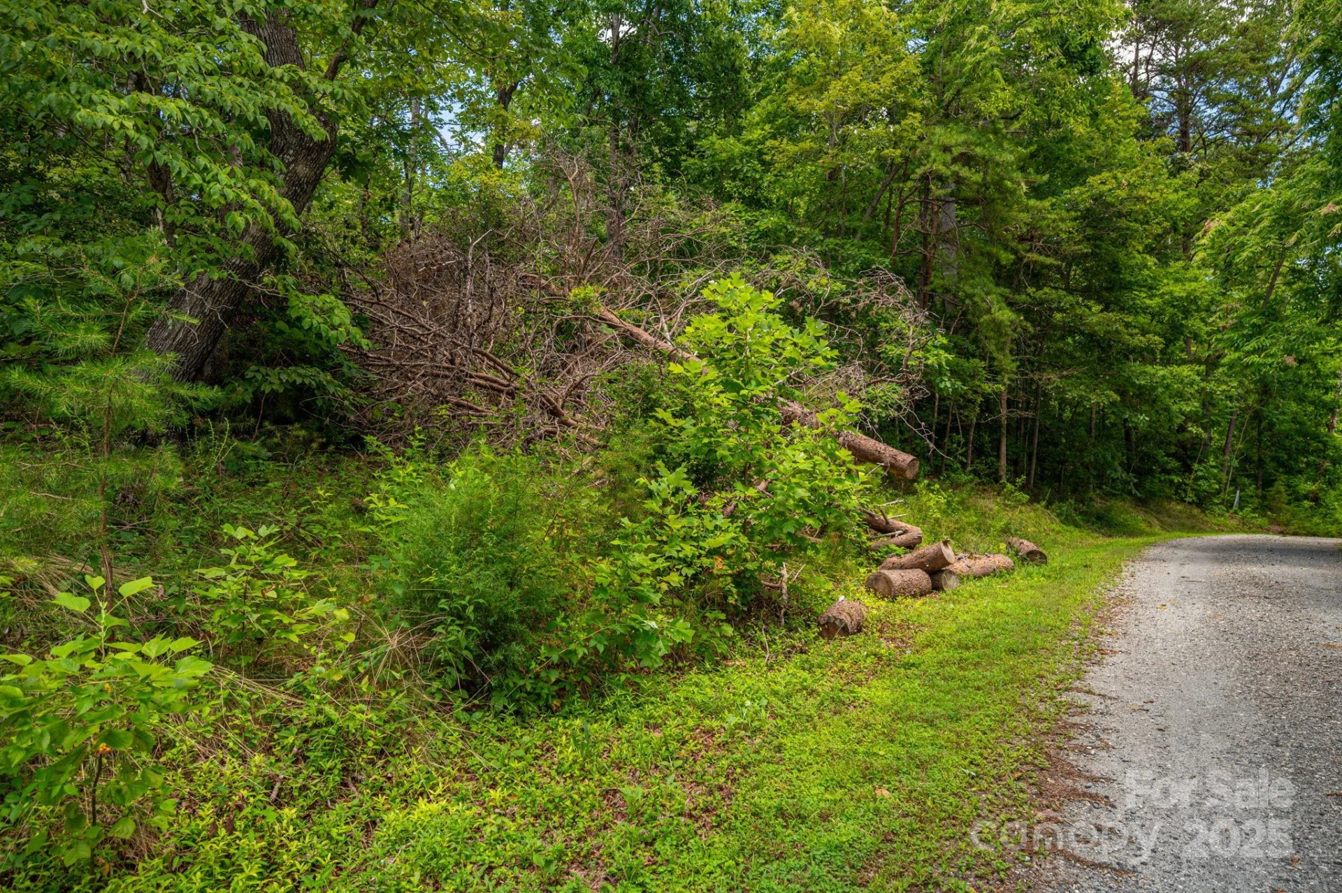 Lot 208 Plantation Drive
