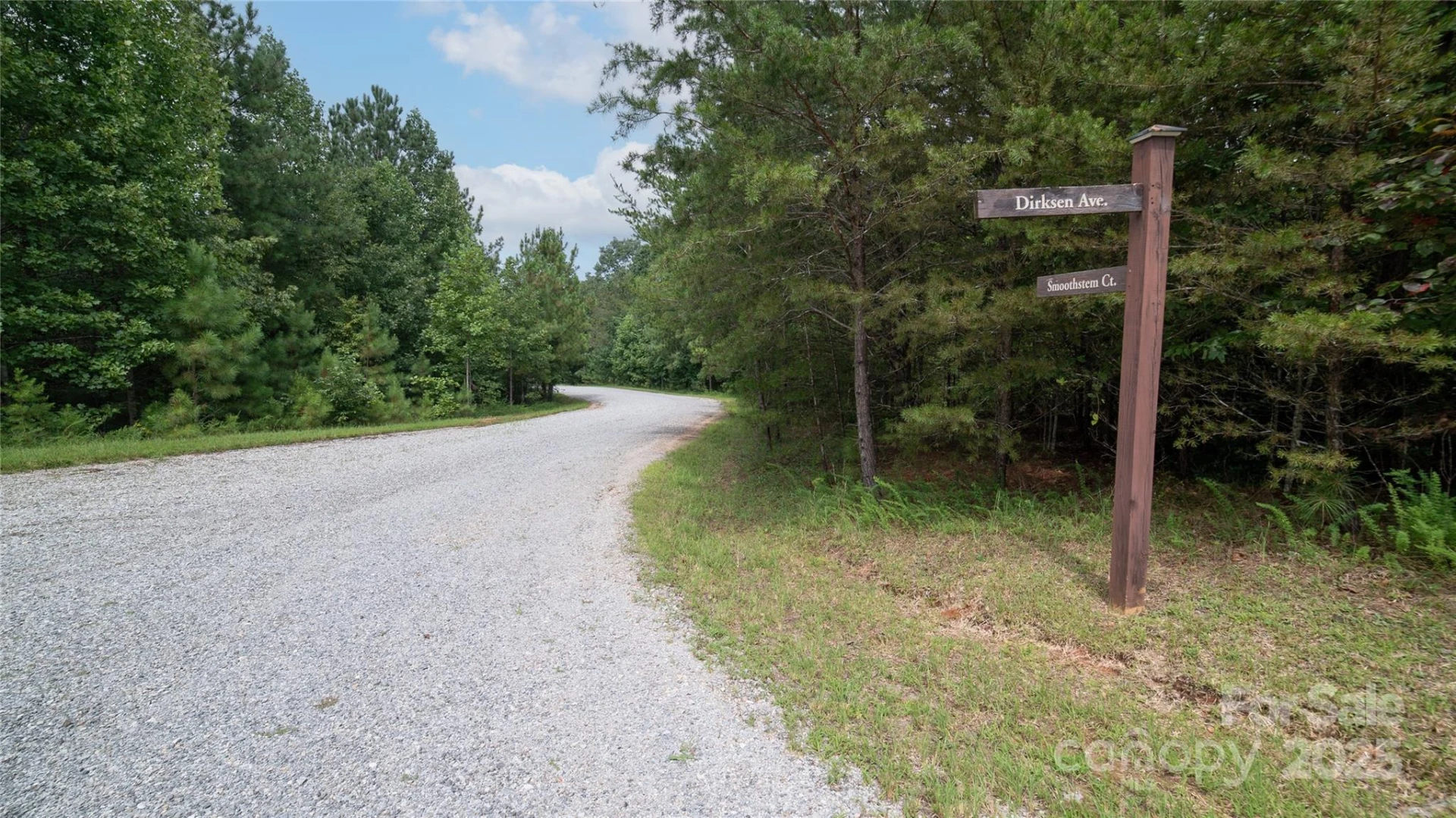 Lot 84 Smoothstem Court - Photo 5
