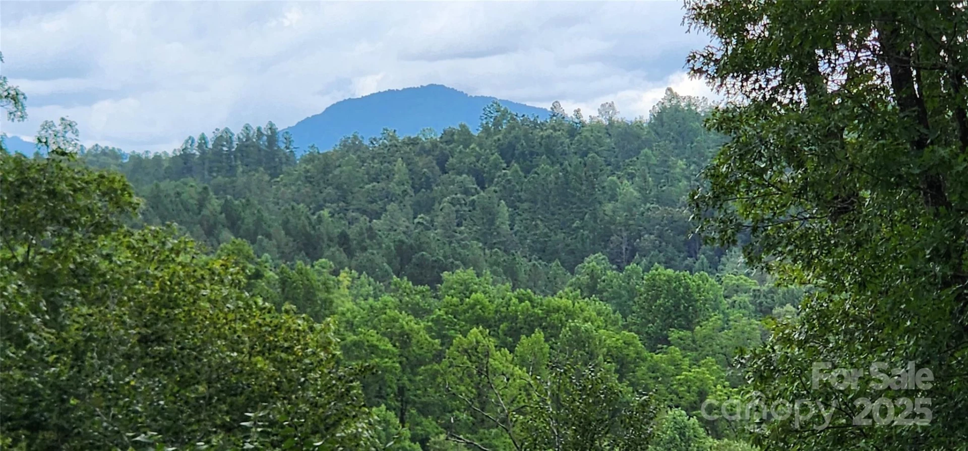 LOT 3 S Cross Creek Trail