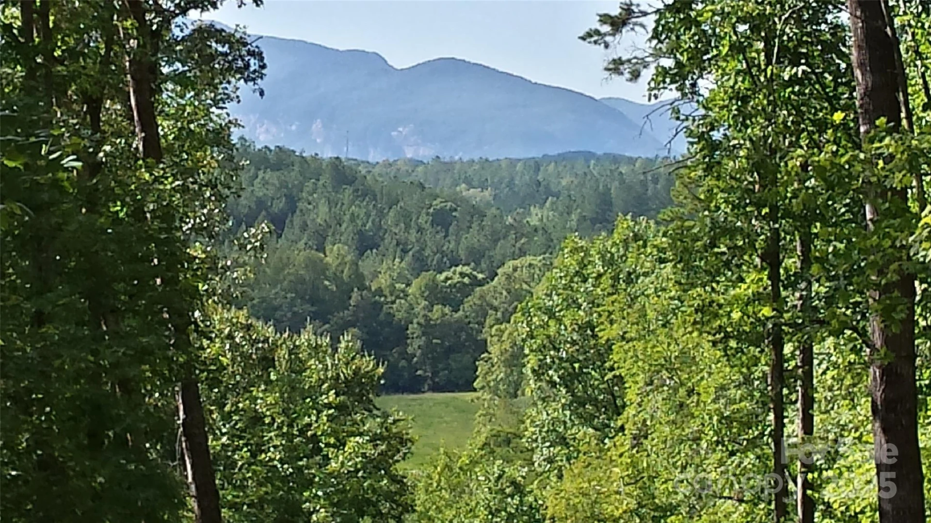 LOT 3 S Cross Creek Trail - Photo 11