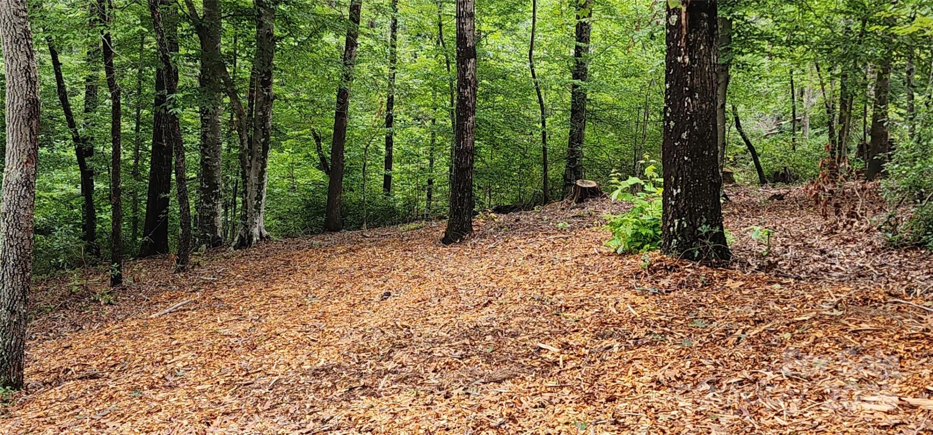 LOT 3 S Cross Creek Trail - Photo 13