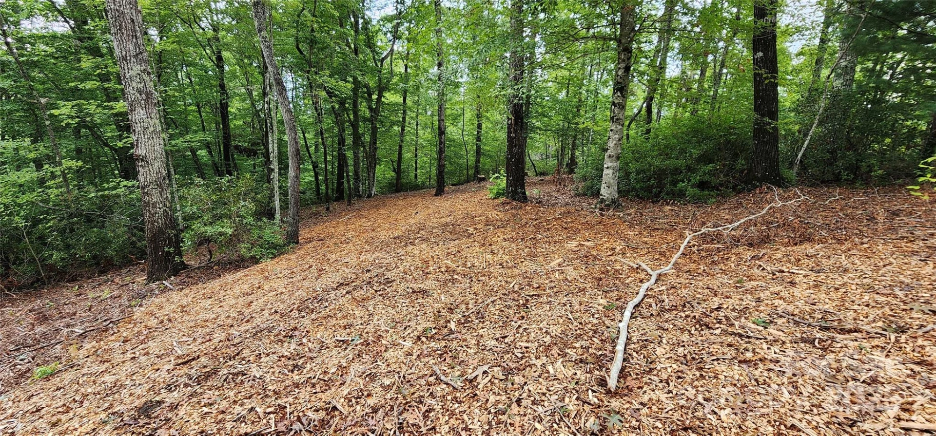 LOT 3 S Cross Creek Trail - Photo 14