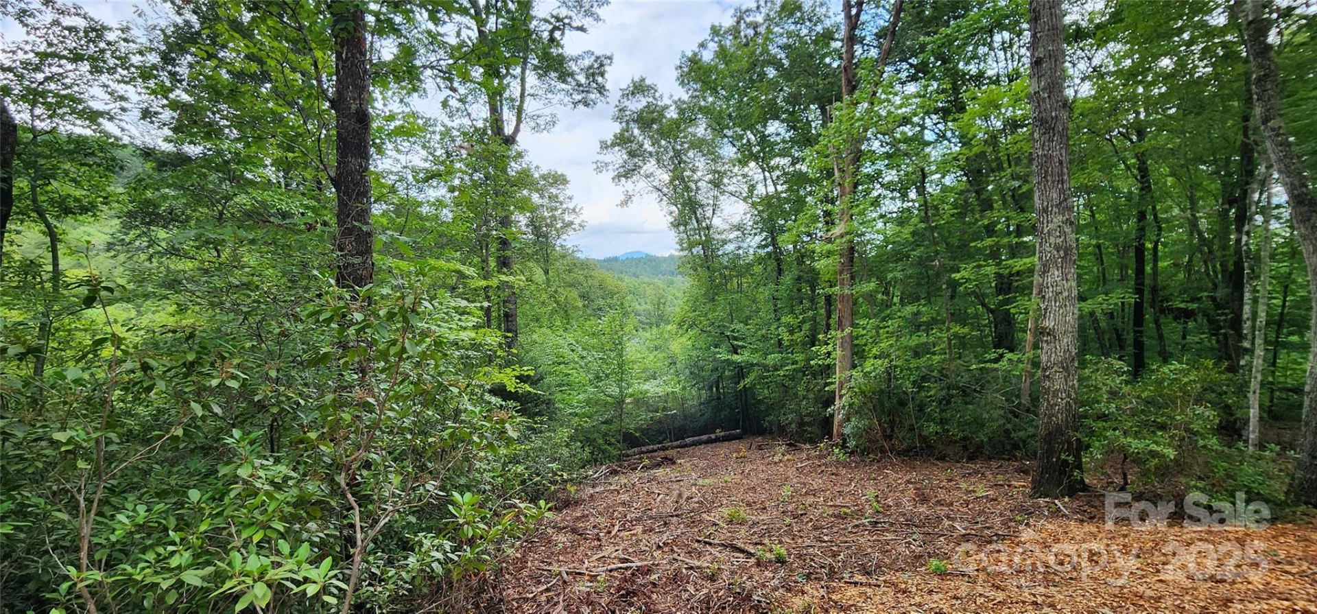 LOT 3 S Cross Creek Trail - Photo 15