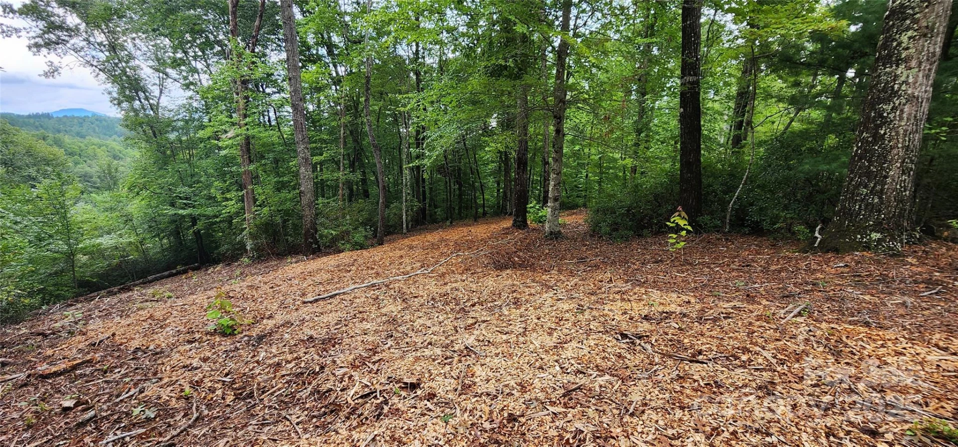 LOT 3 S Cross Creek Trail - Photo 16
