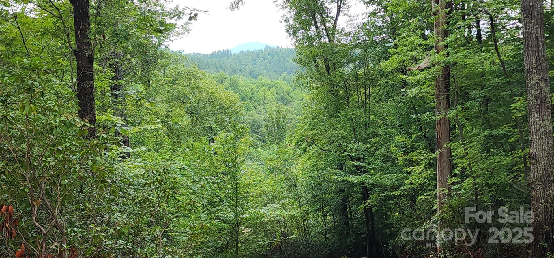 LOT 3 S Cross Creek Trail - Photo 17