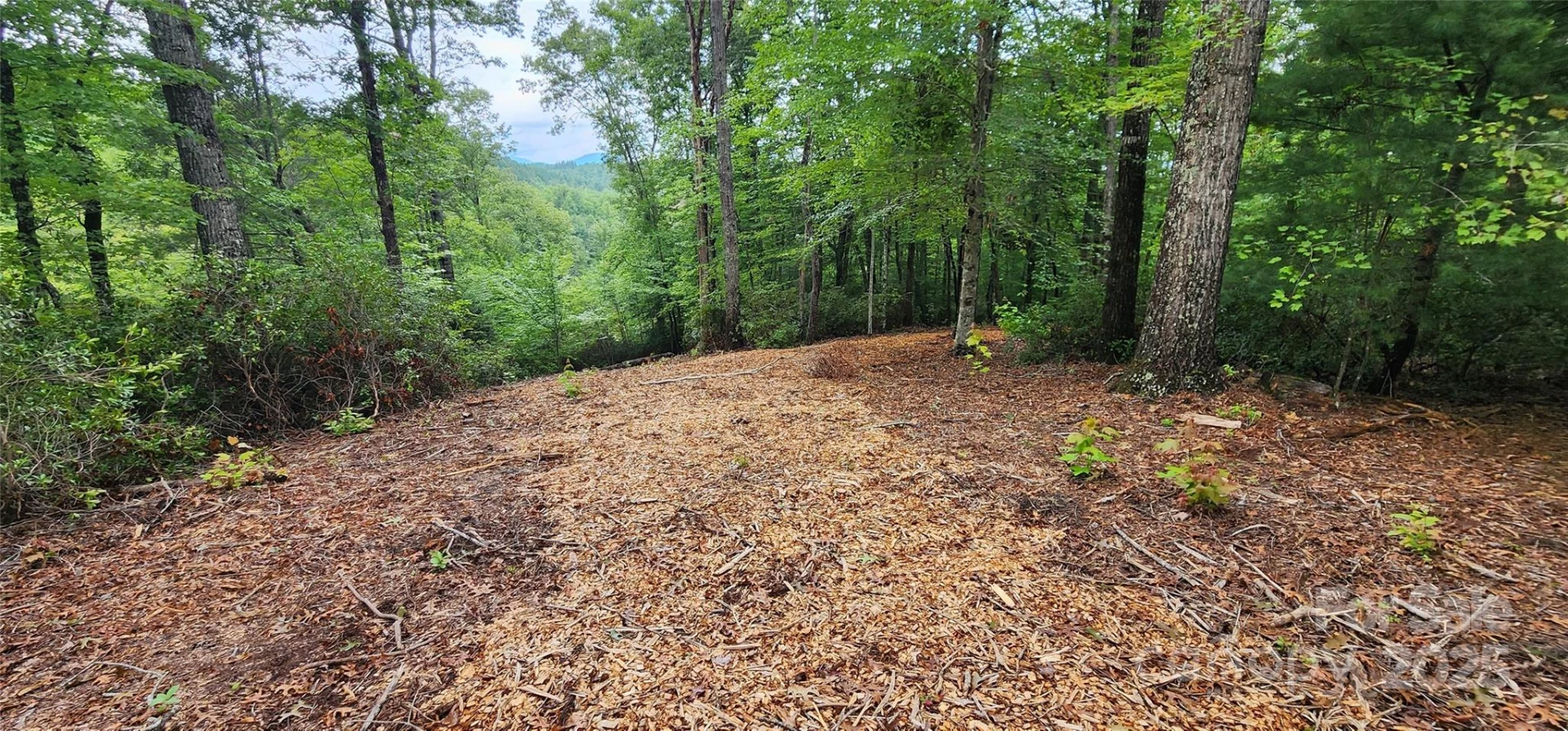 LOT 3 S Cross Creek Trail - Photo 18