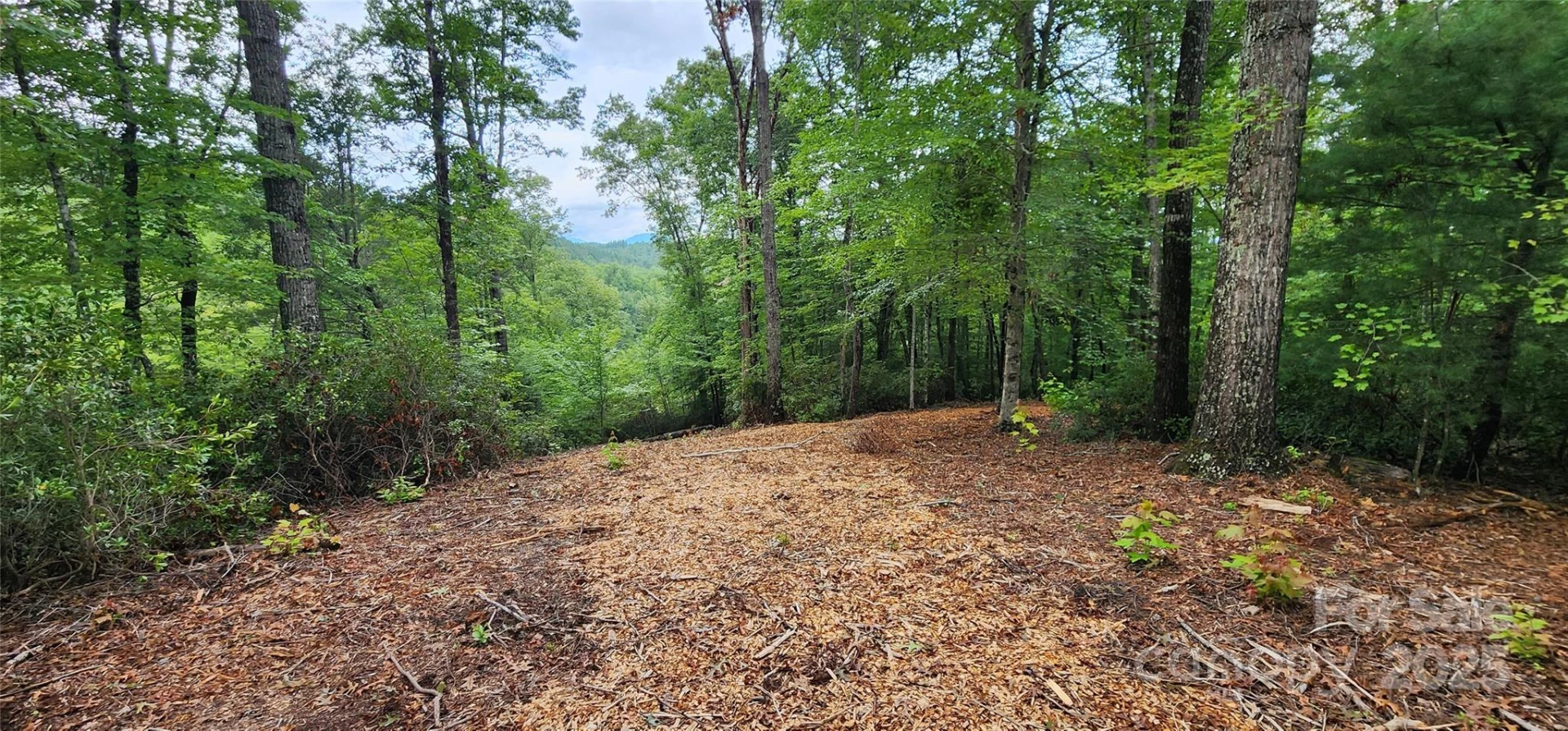 LOT 3 S Cross Creek Trail - Photo 19