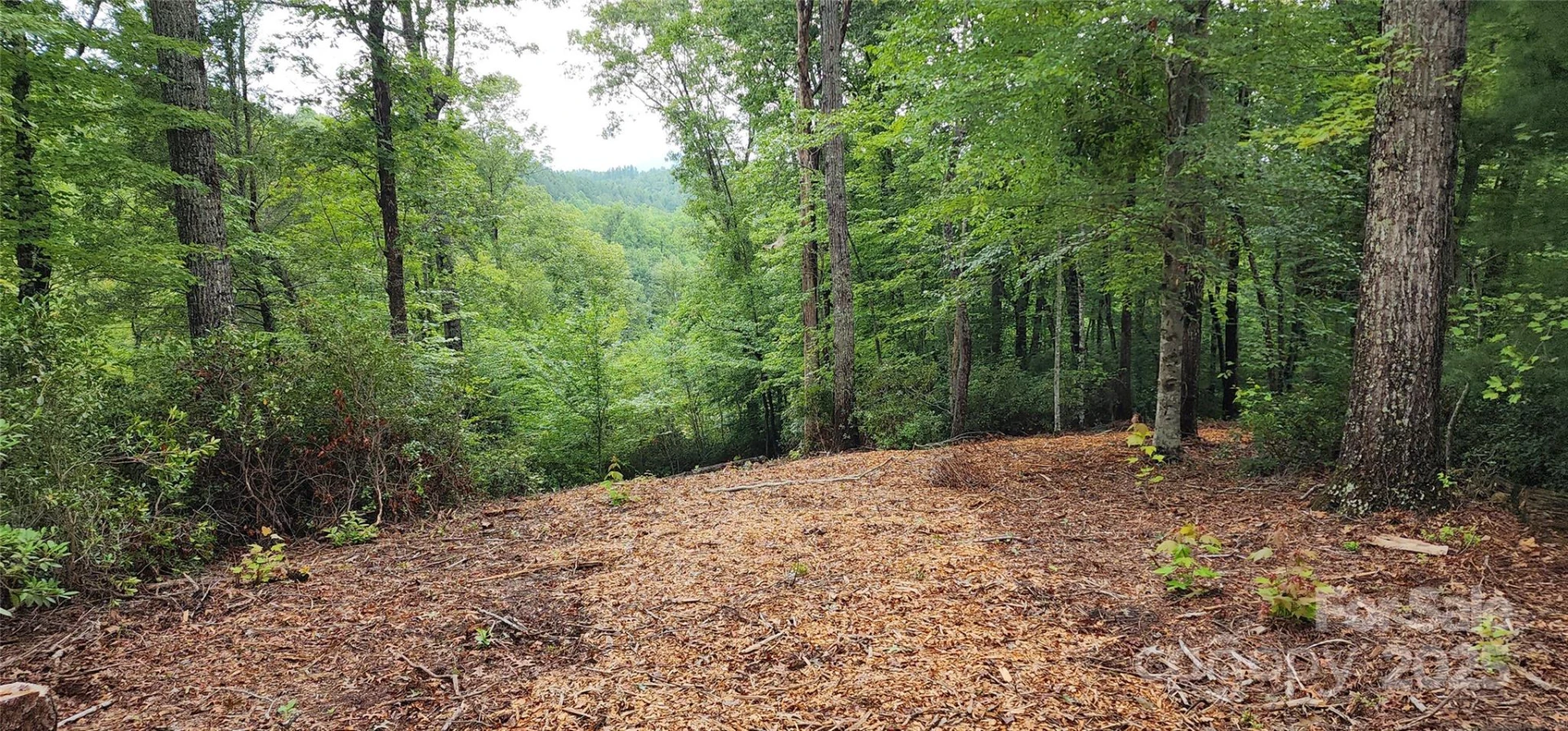LOT 3 S Cross Creek Trail - Photo 20