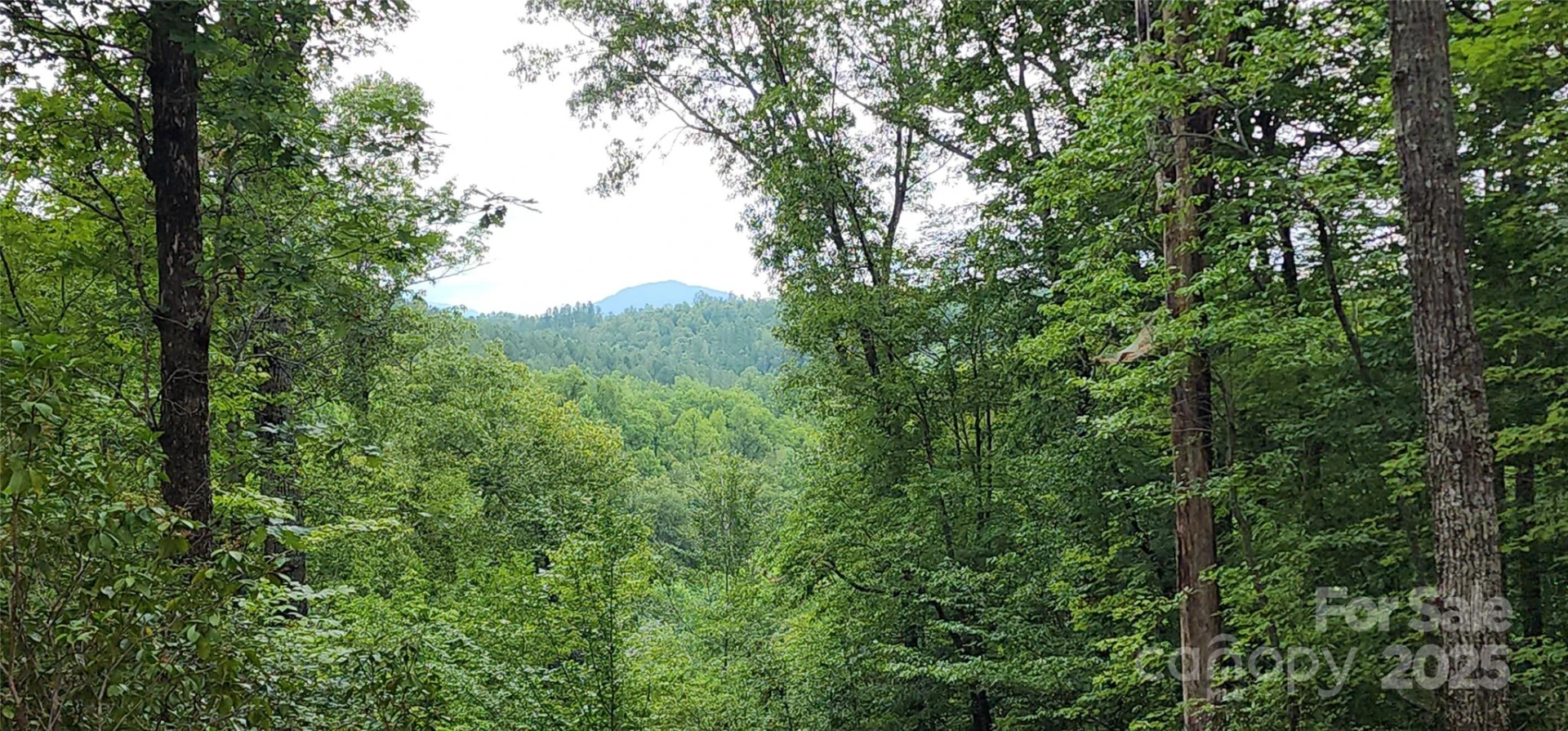 LOT 3 S Cross Creek Trail - Photo 3