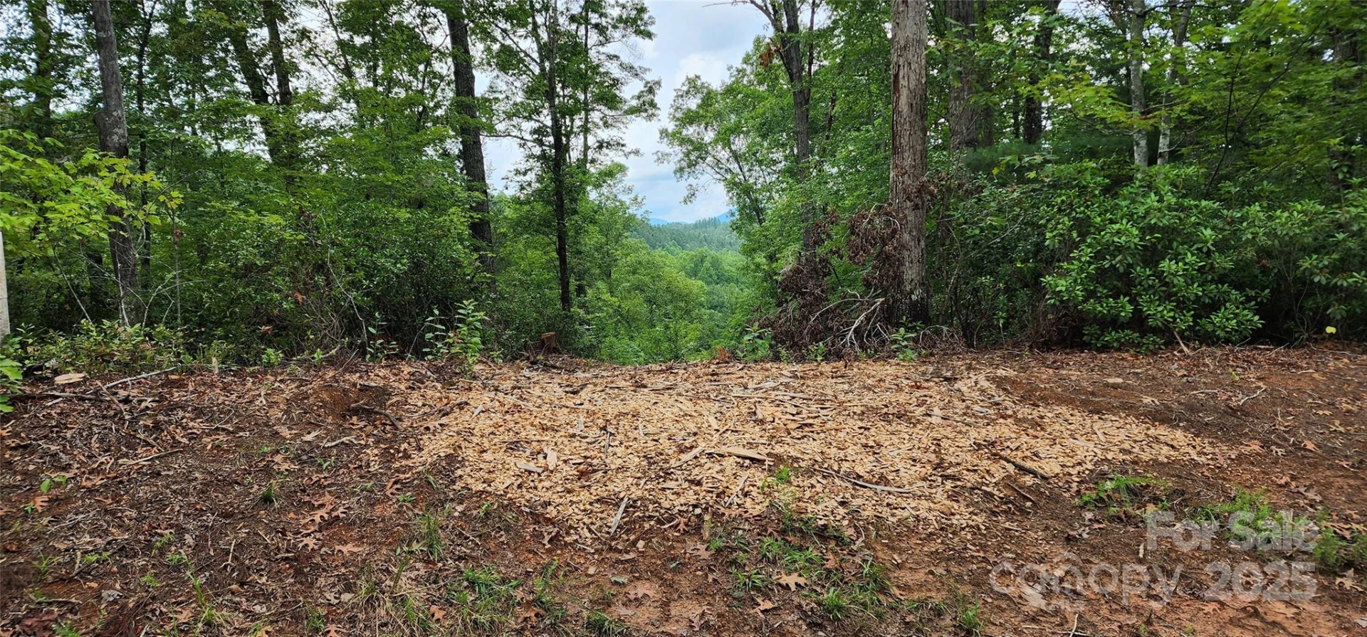 LOT 3 S Cross Creek Trail - Photo 25