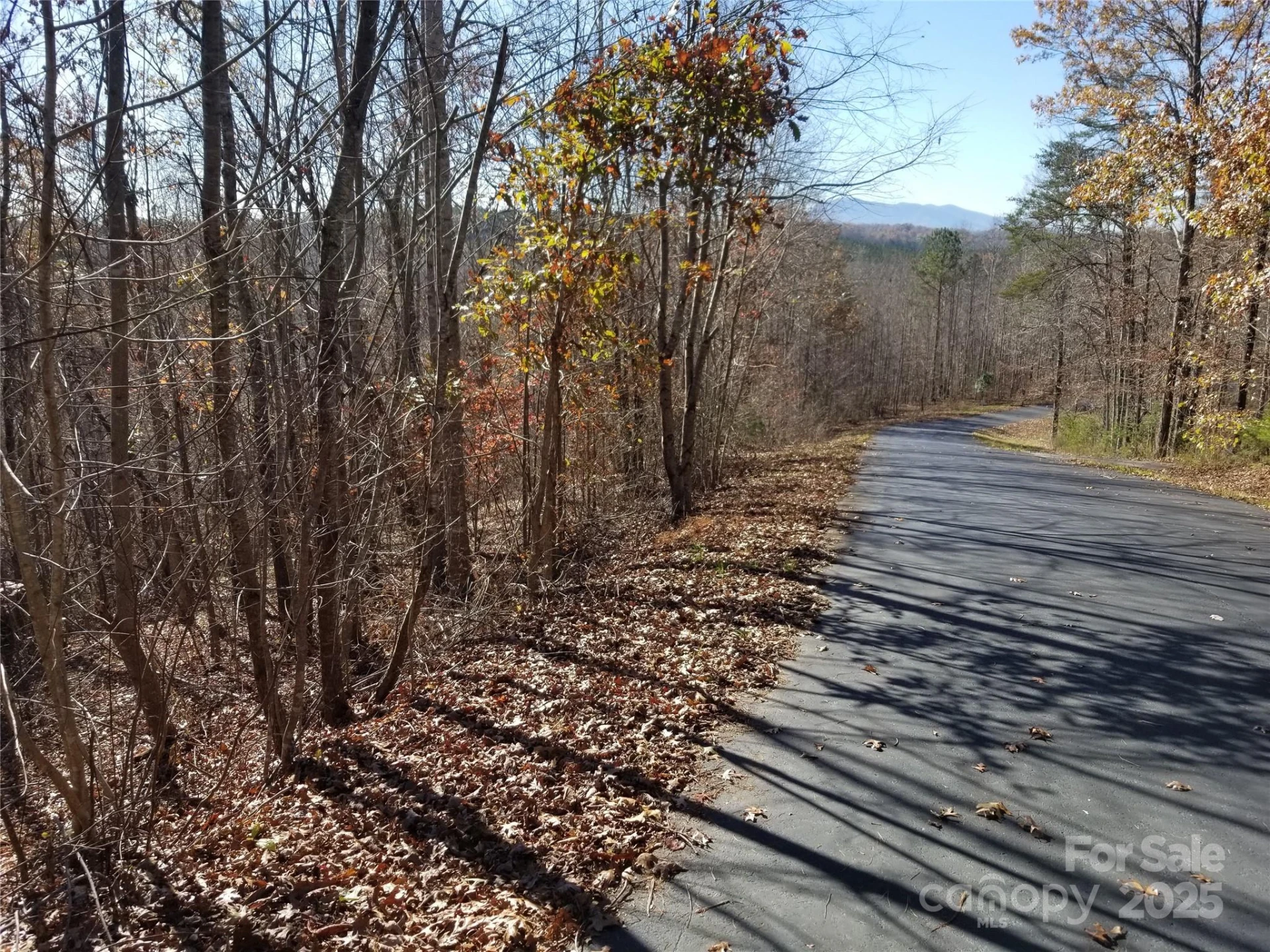 LOT 3 S Cross Creek Trail - Photo 7