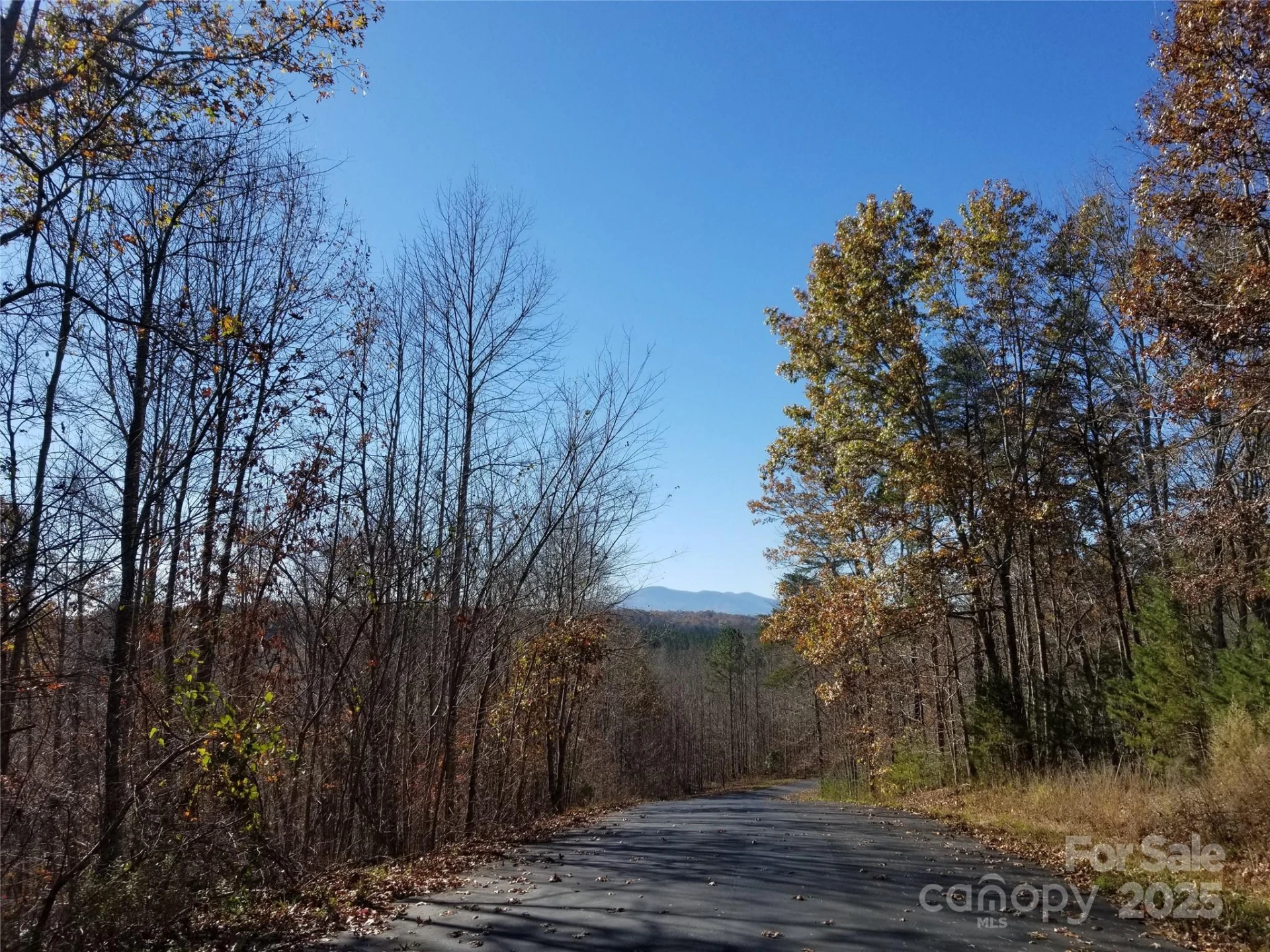 LOT 3 S Cross Creek Trail - Photo 8