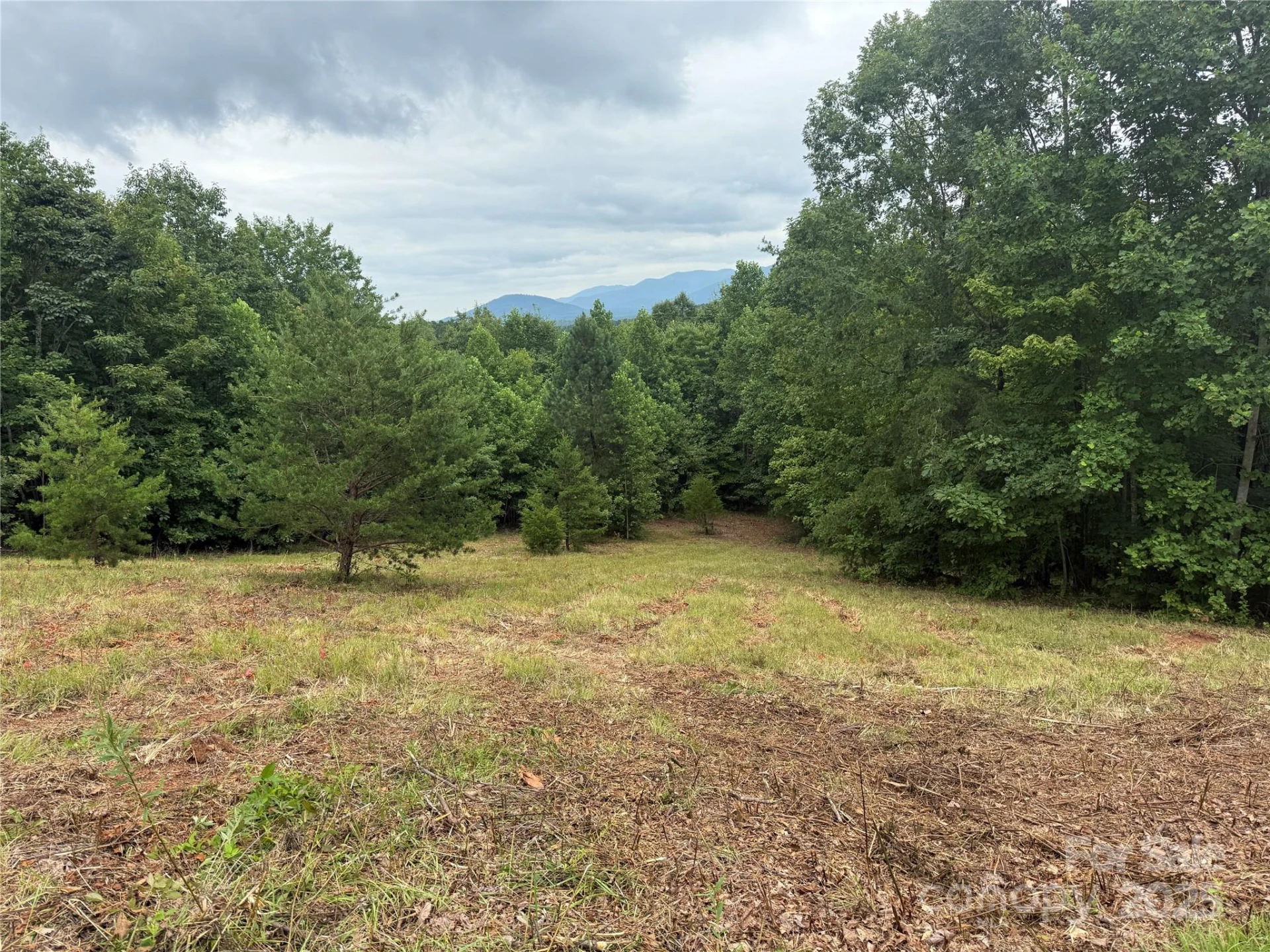 166 Coal Pit Mountain Drive #359 - Photo 5