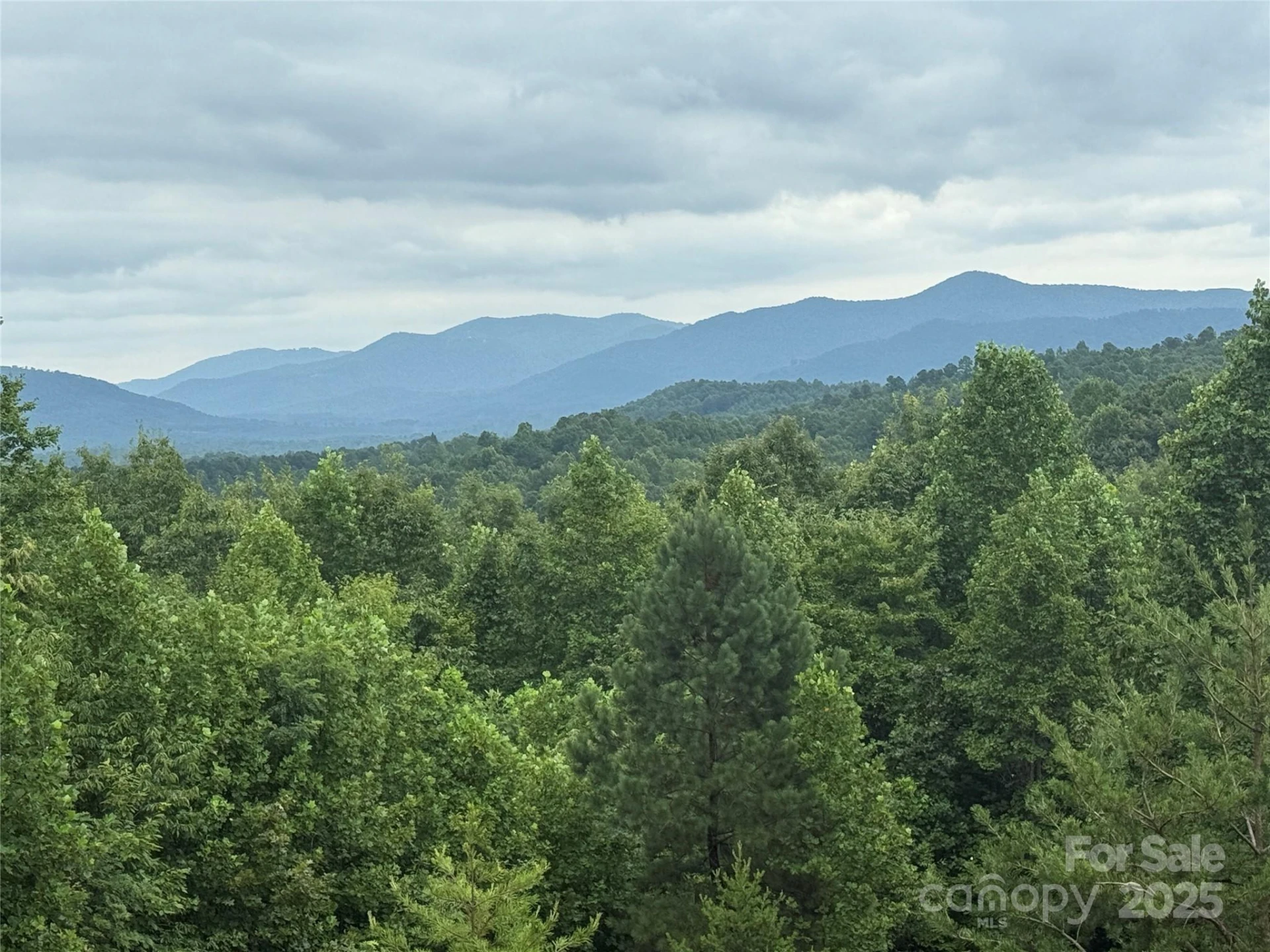 166 Coal Pit Mountain Drive #359 - Photo 7